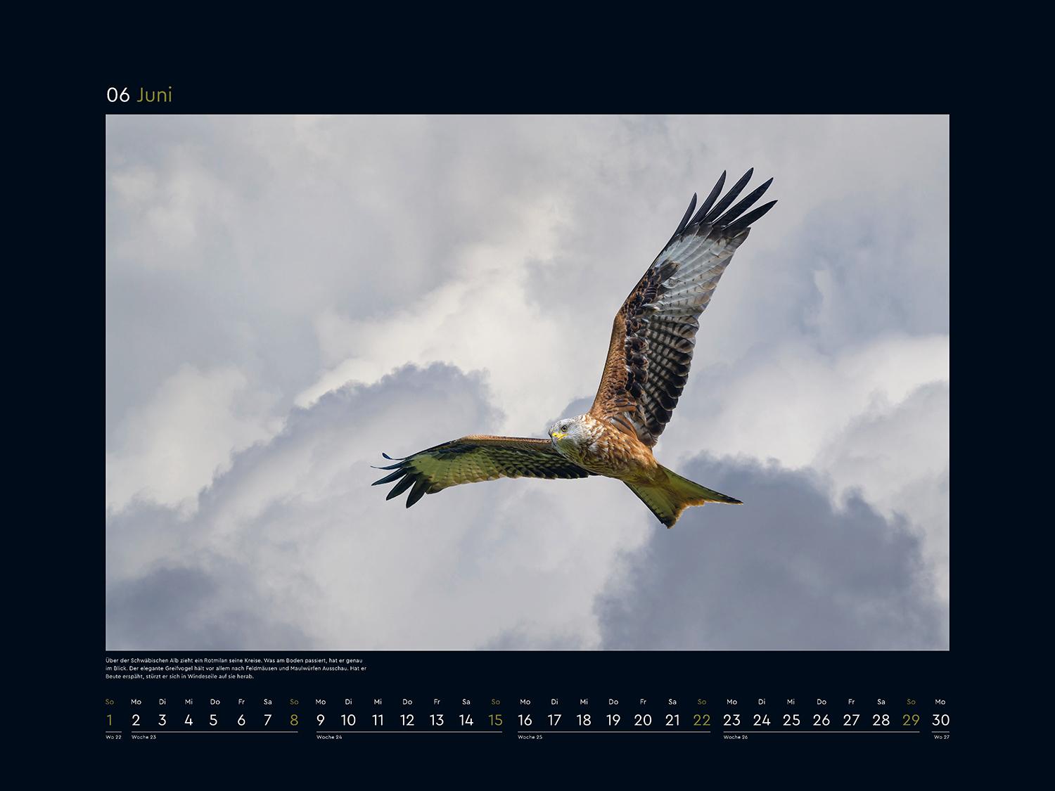 Beispielinhalt (Bild) Wildnis Deutschland - KUNTH Wandkalender 2025
