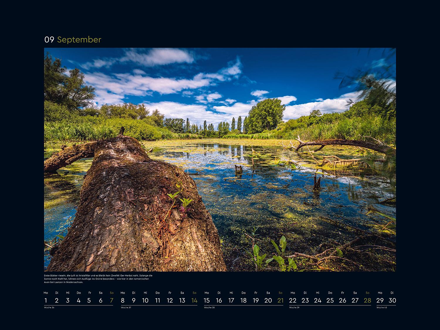 Beispielinhalt (Bild) Wildnis Deutschland - KUNTH Wandkalender 2025