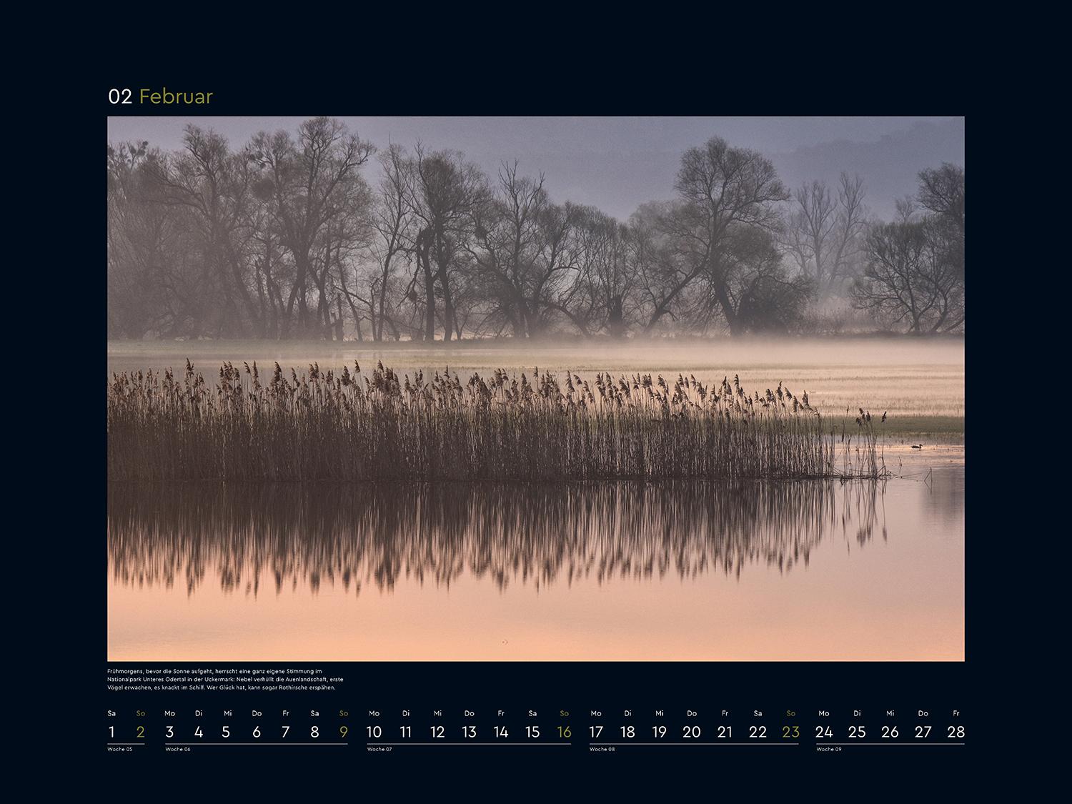 Beispielinhalt (Bild) Wildnis Deutschland - KUNTH Wandkalender 2025