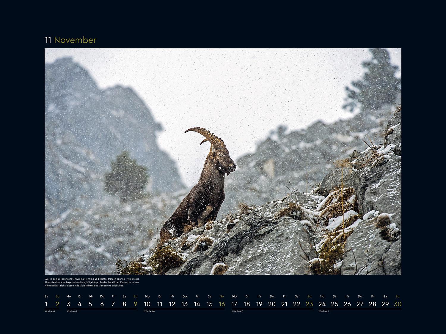 Beispielinhalt (Bild) Wildnis Deutschland - KUNTH Wandkalender 2025