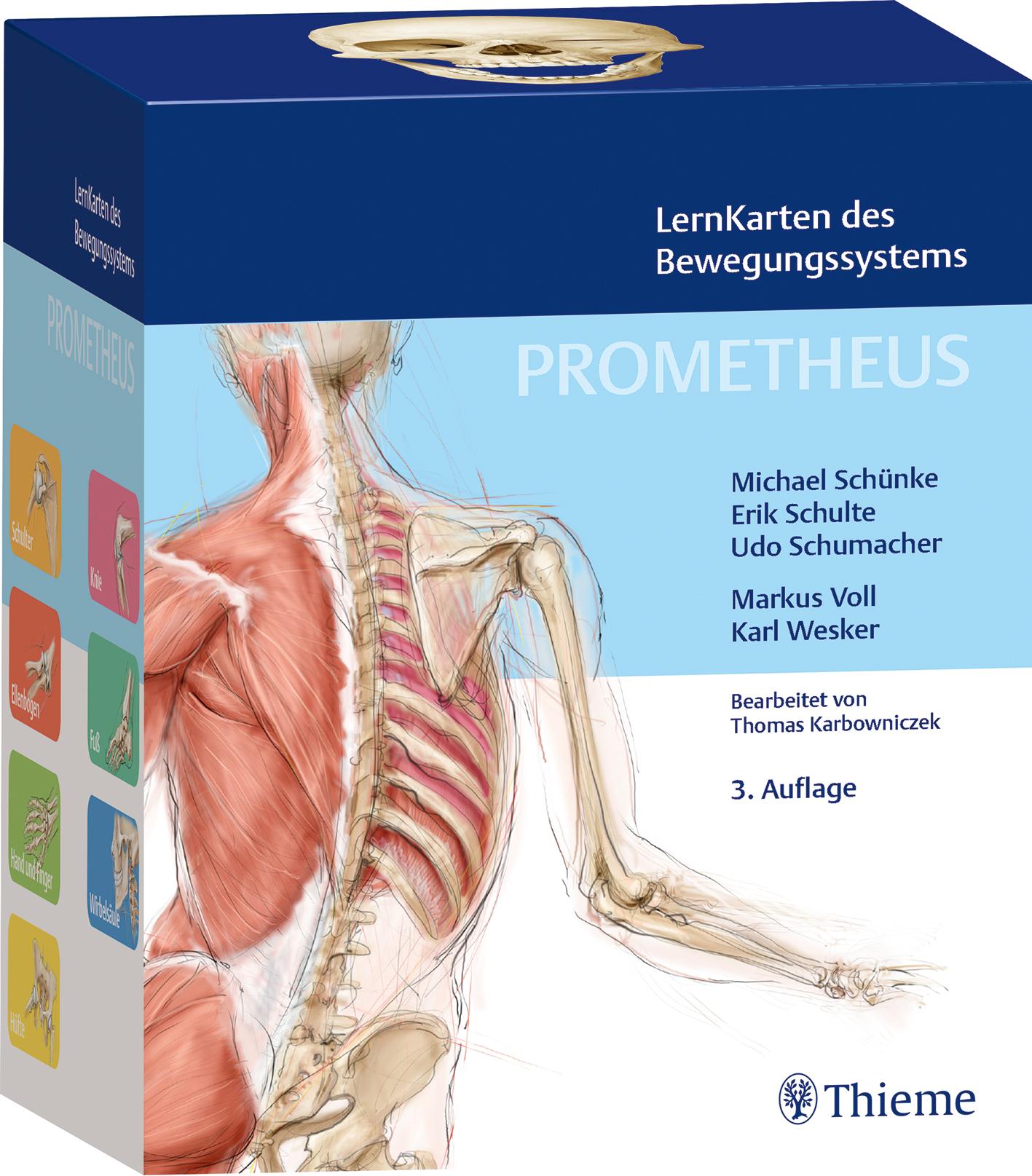 Vorderes Coverbild PROMETHEUS LernKarten des Bewegungssystems