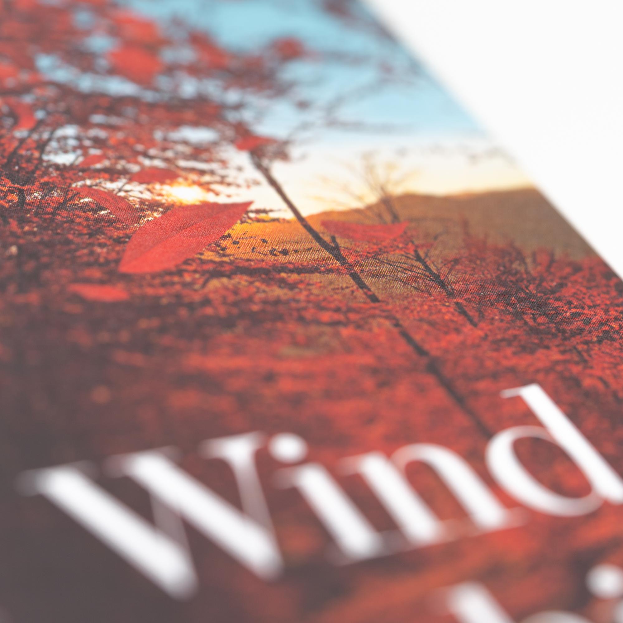 Beispielinhalt (Bild) Der Wind weht, wohin er will