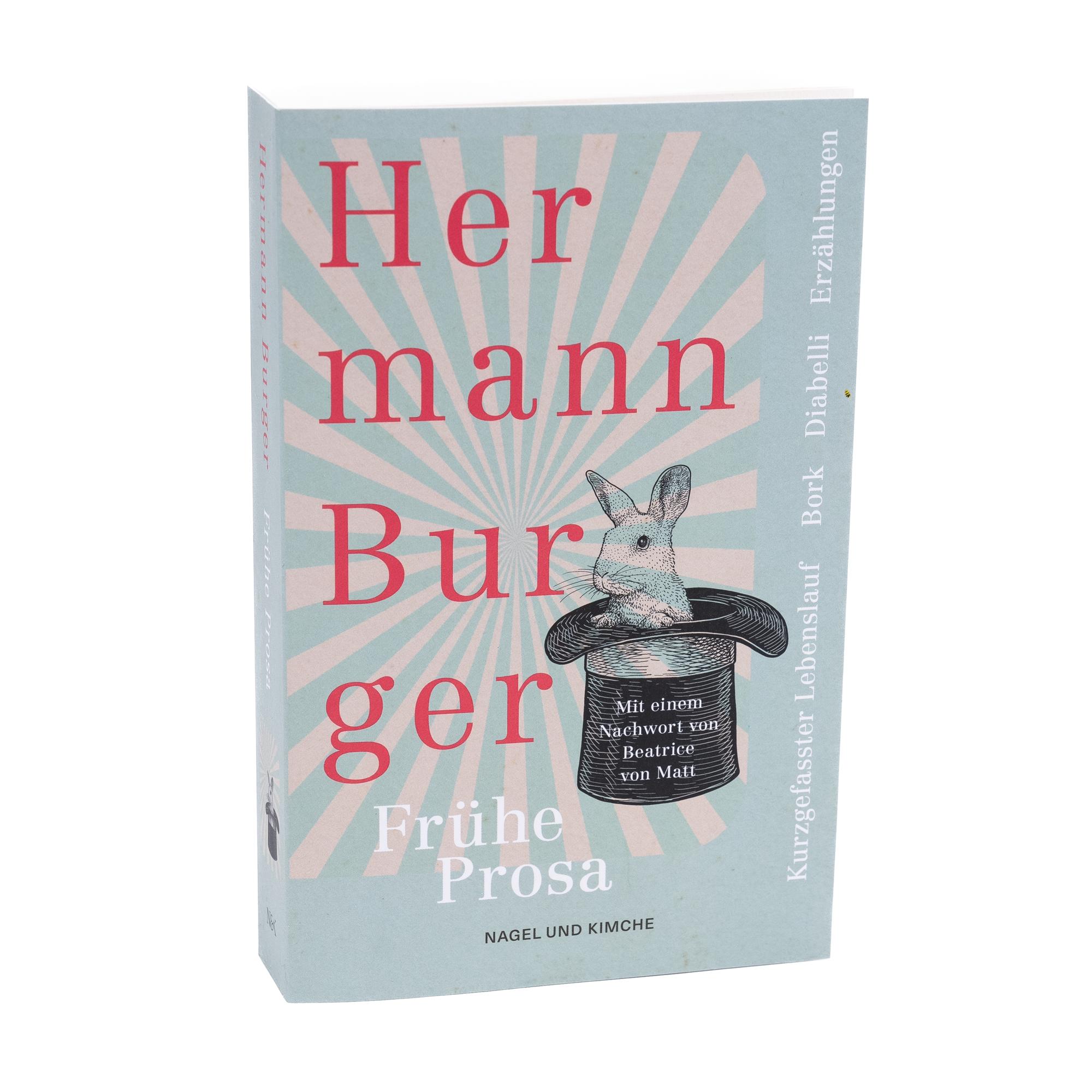 Beispielinhalt (Bild) Kurzgefasster Lebenslauf und andere frühe Prosa. Bork. Diabelli