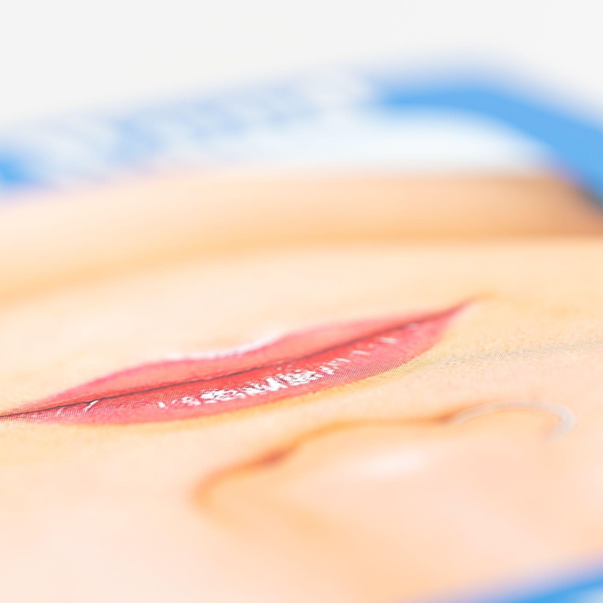 Beispielinhalt (Bild) Dino Moms