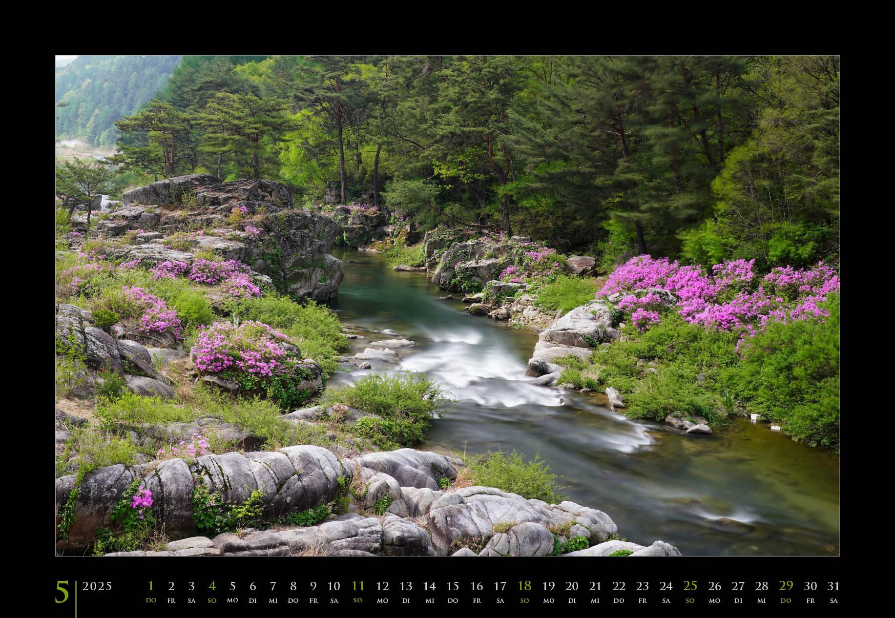 Beispielinhalt (Bild) Stimmungen 2025