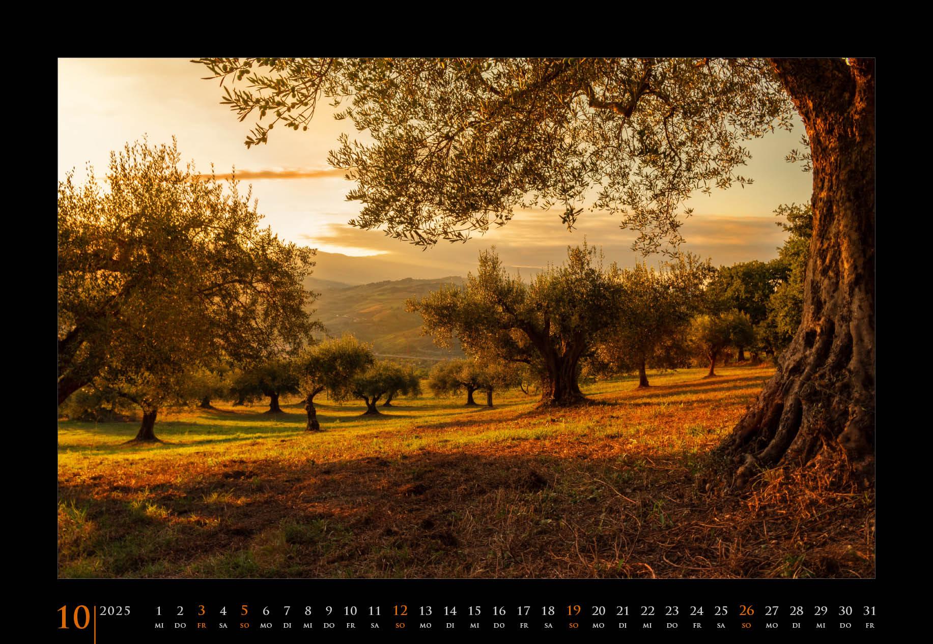 Beispielinhalt (Bild) Stimmungen 2025