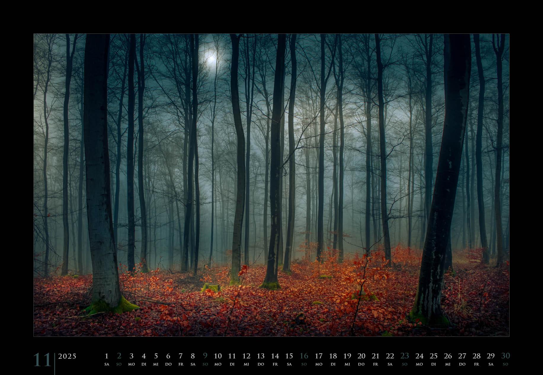 Beispielinhalt (Bild) Stimmungen 2025