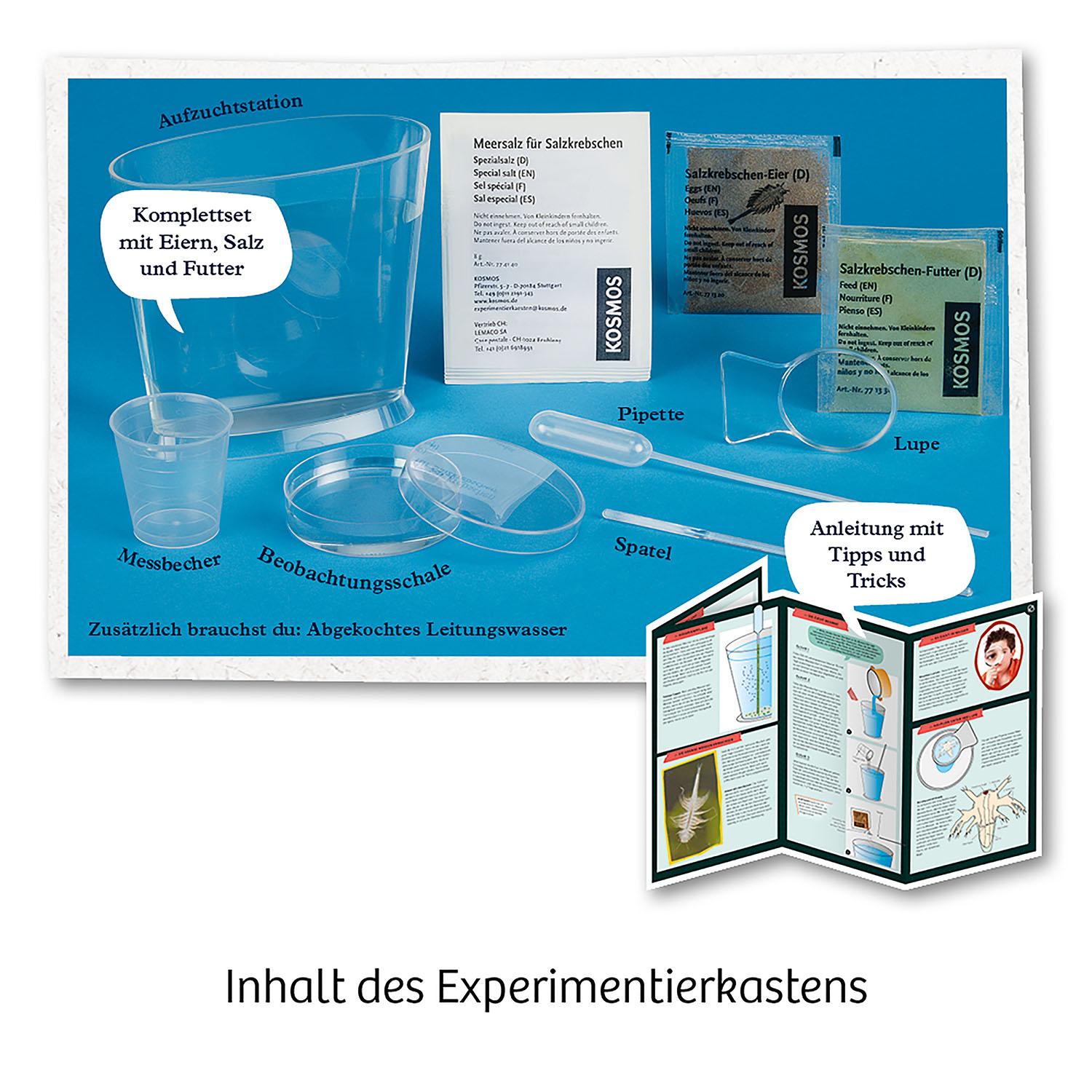 Beispielinhalt (Bild) Urzeit-Krebse