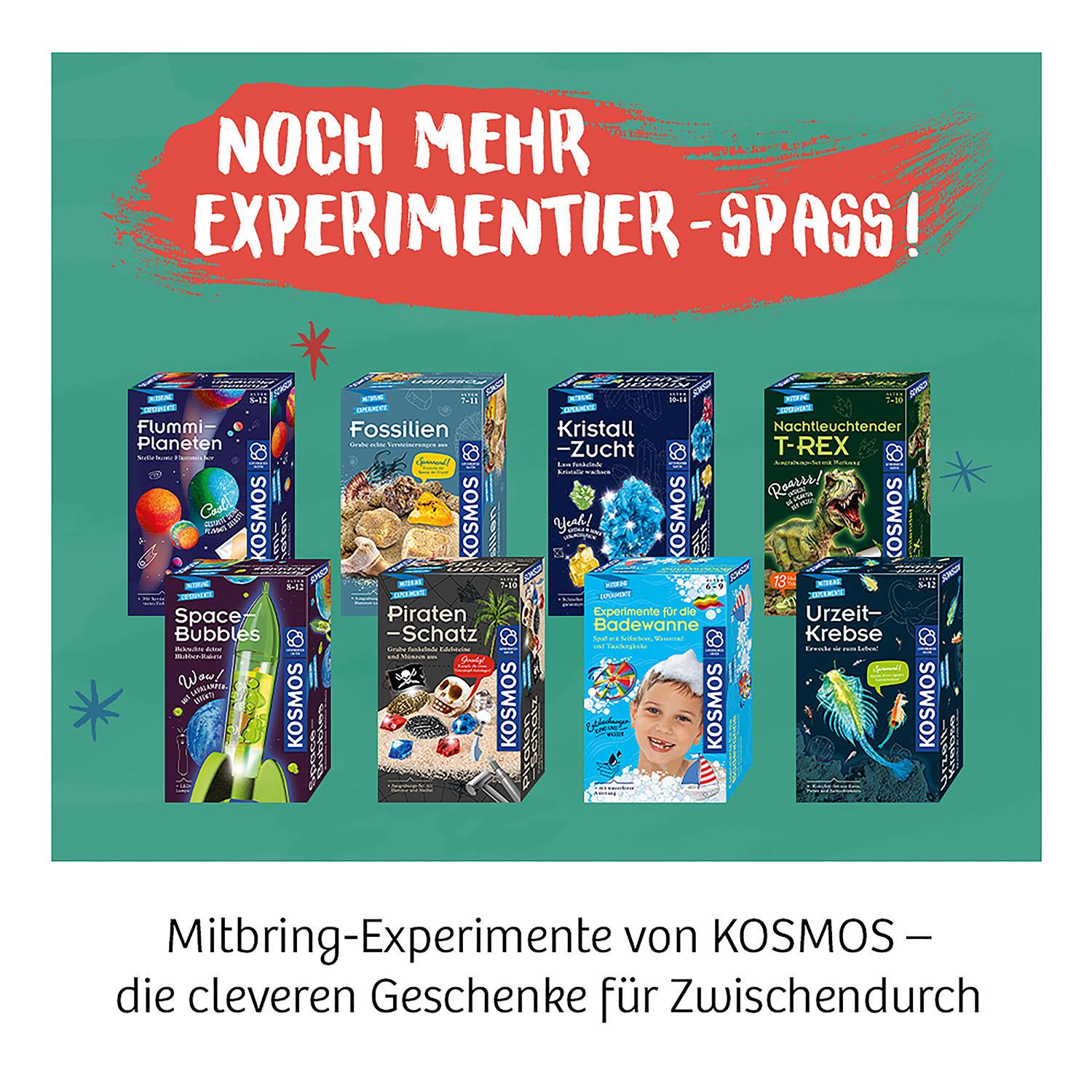 Beispielinhalt (Bild) Urzeit-Krebse