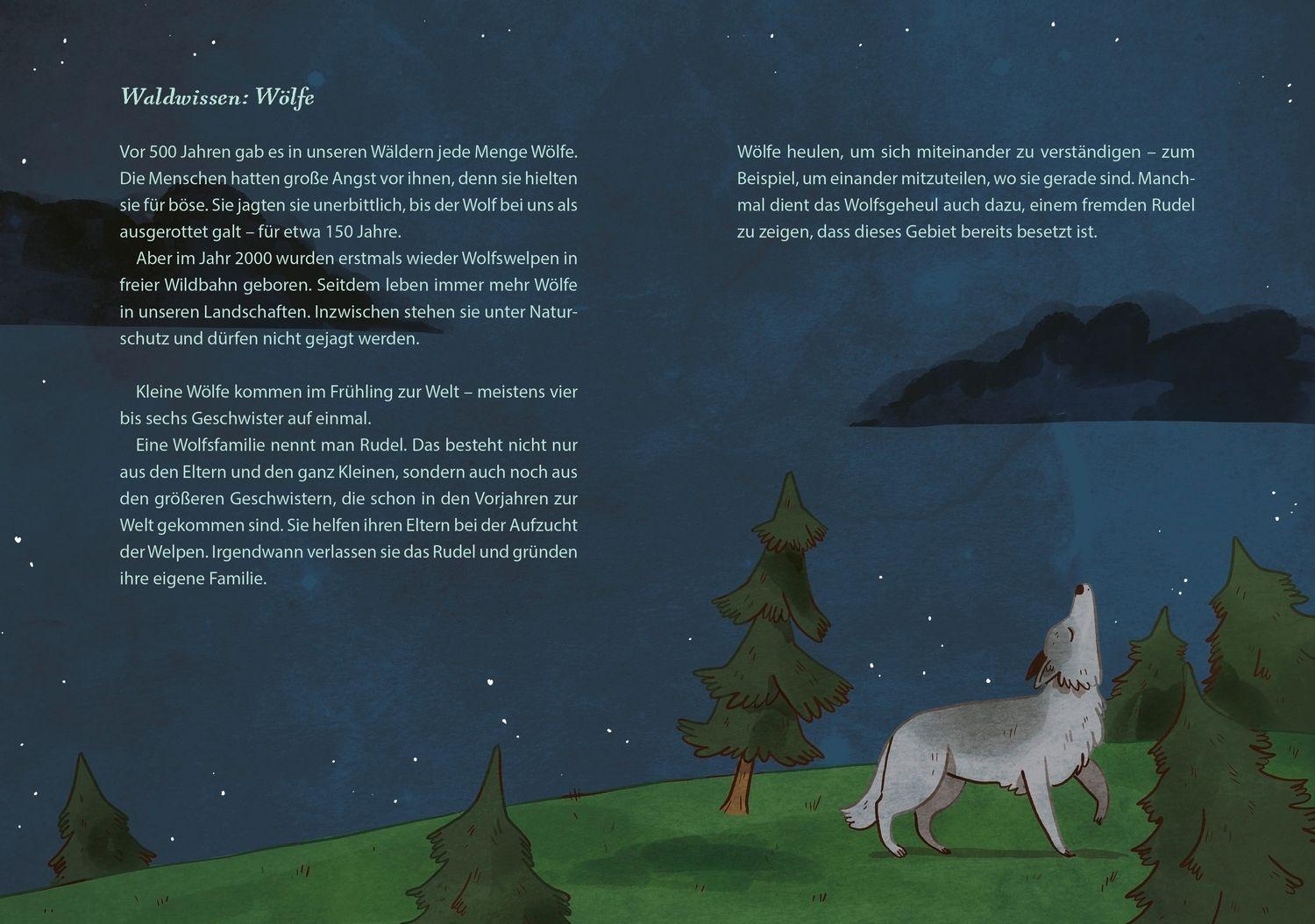 Beispielinhalt (Bild) Die schönsten Geschichten aus dem Wald