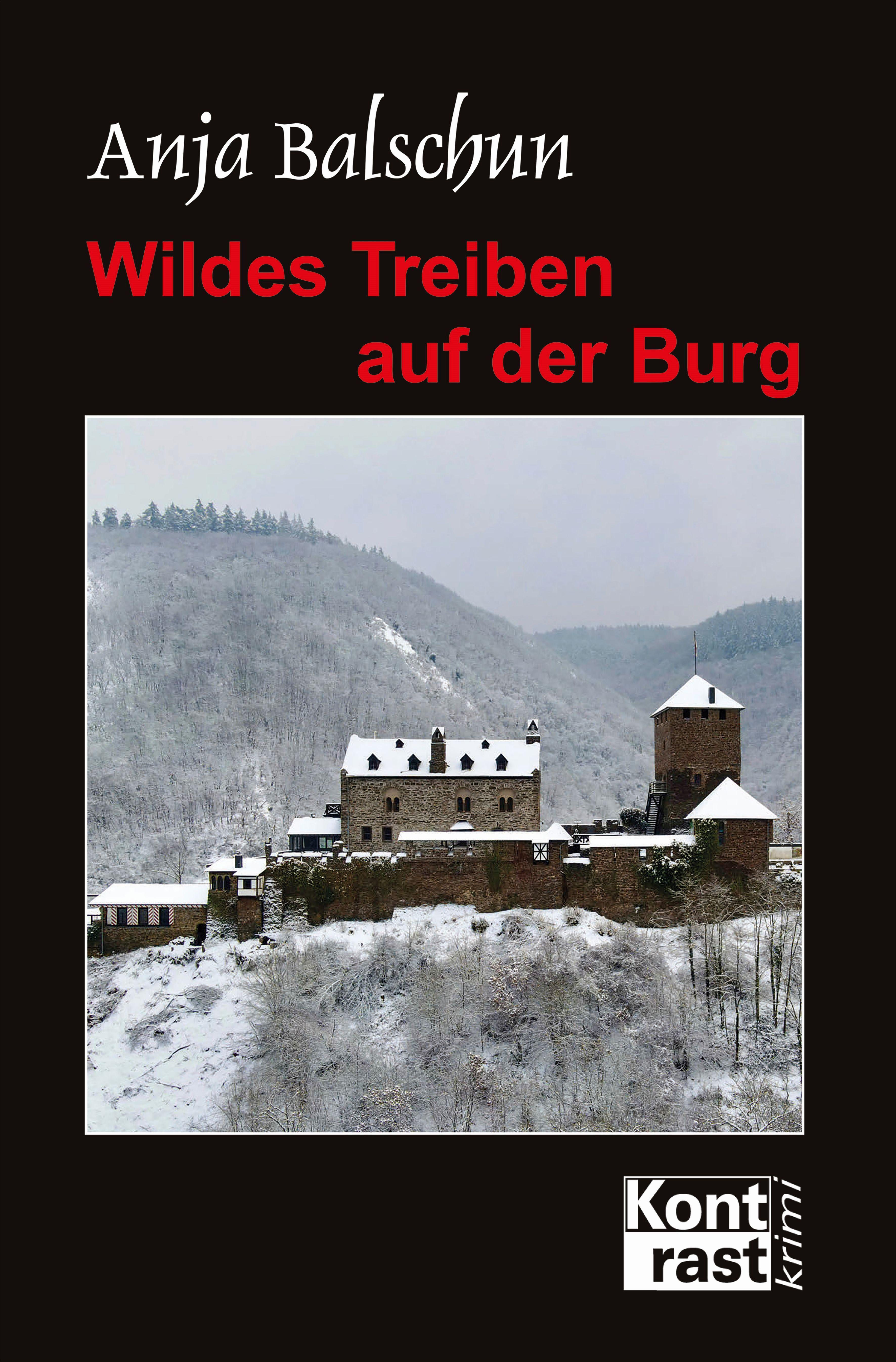 Vorderes Coverbild Wildes Treiben auf der Burg