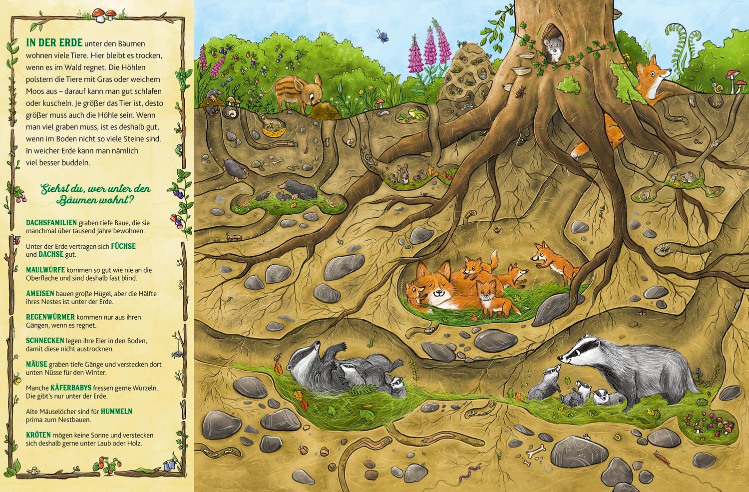 Beispielinhalt (Bild) Das große Wald-Wimmelbuch