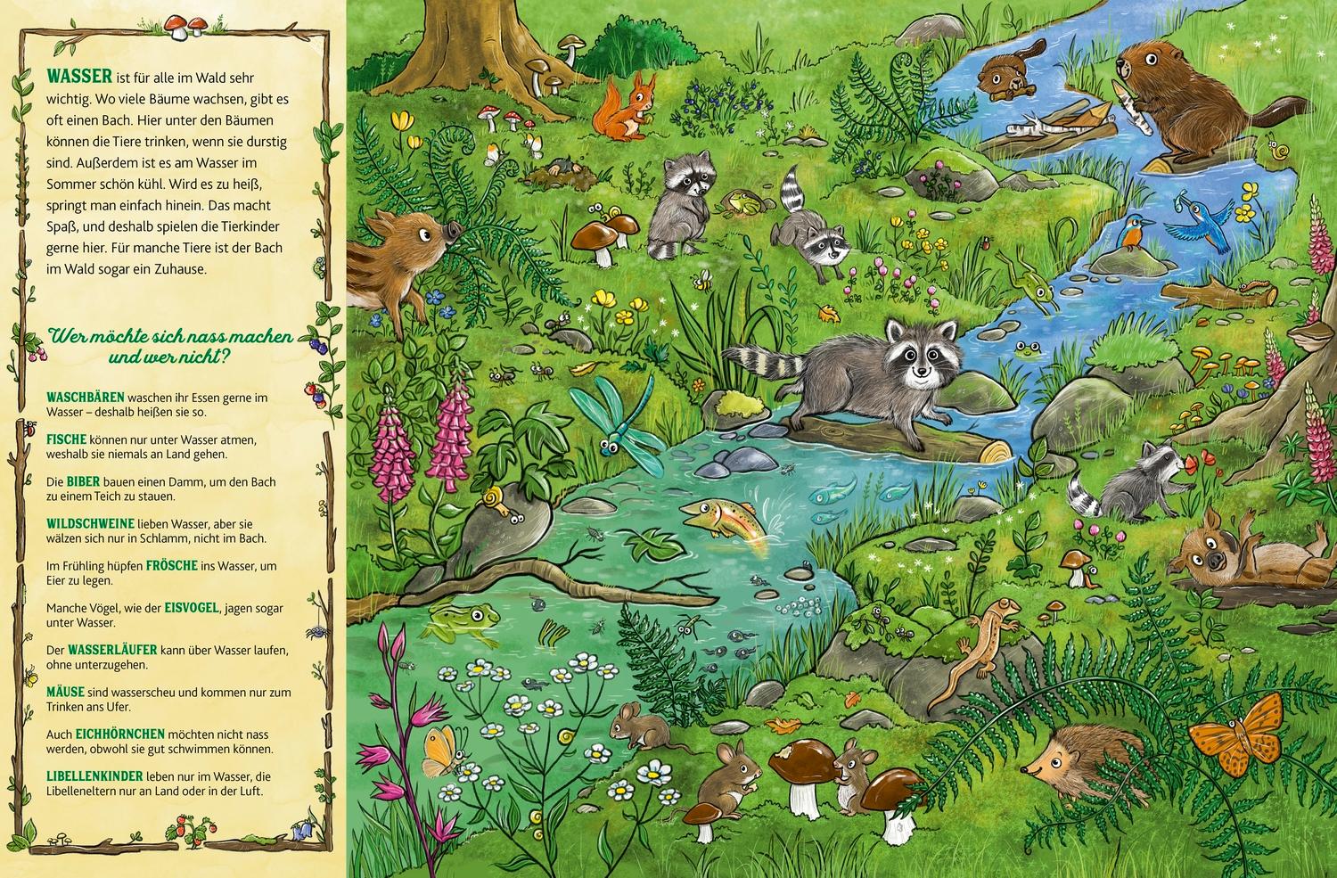 Beispielinhalt (Bild) Das große Wald-Wimmelbuch