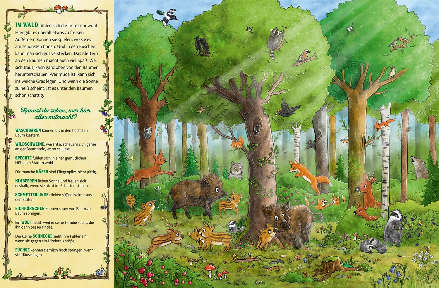 Beispielinhalt (Bild) Das große Wald-Wimmelbuch