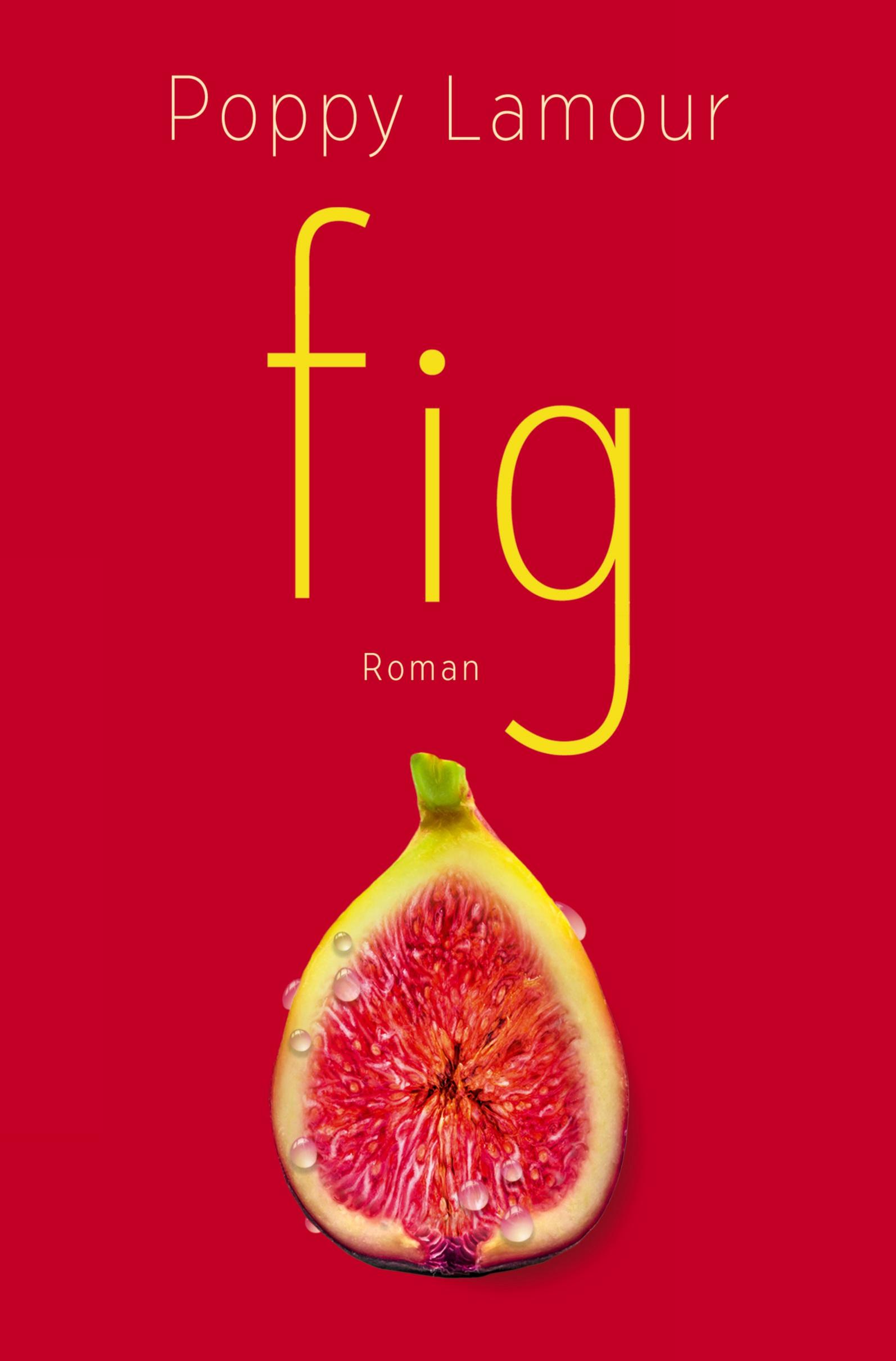 Vorderes Coverbild fig