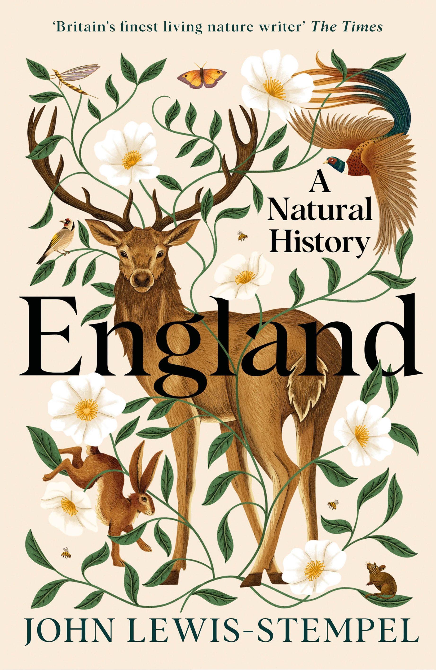 Vorderes Coverbild England