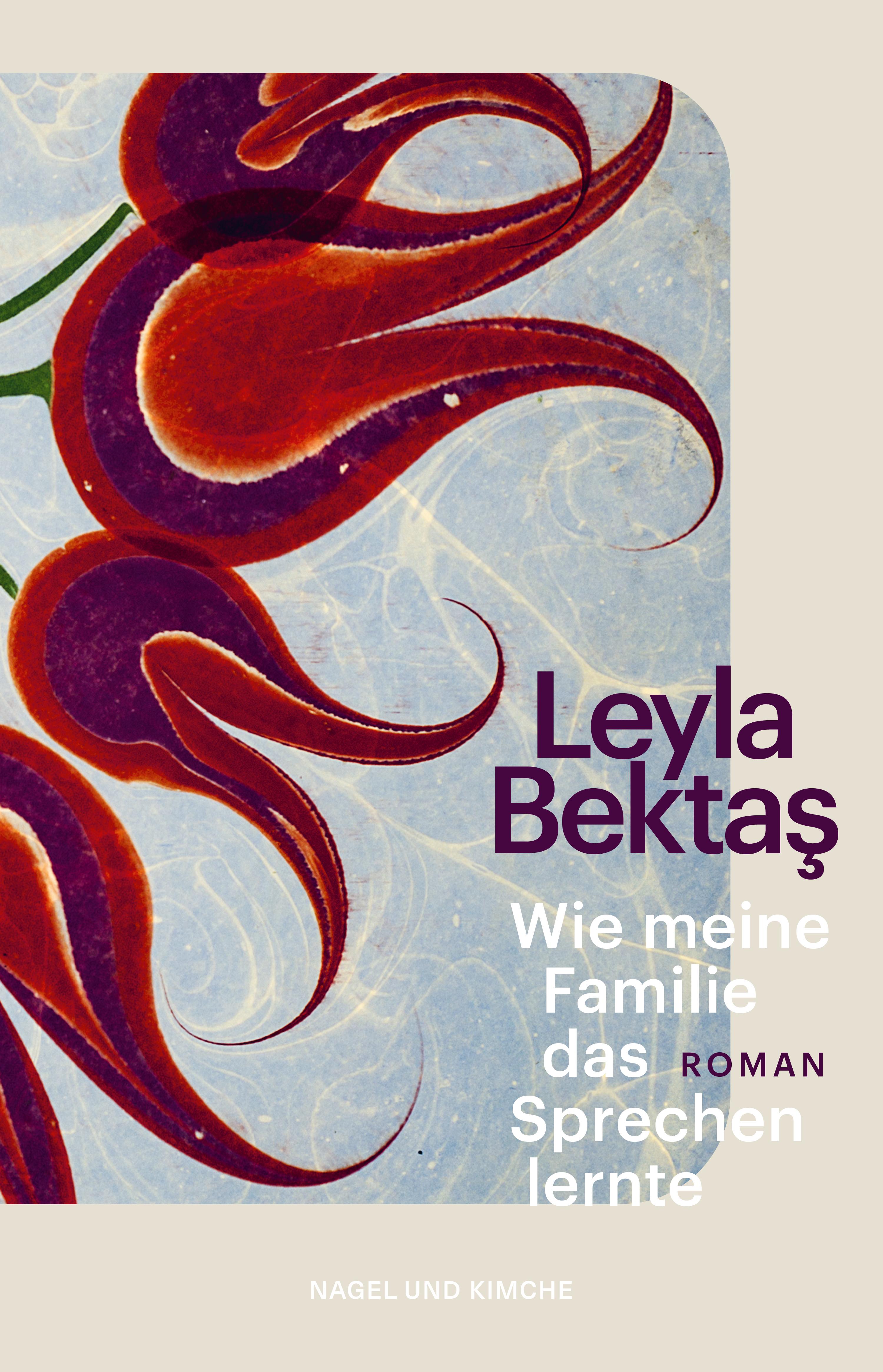 Vorderes Coverbild Wie meine Familie das Sprechen lernte