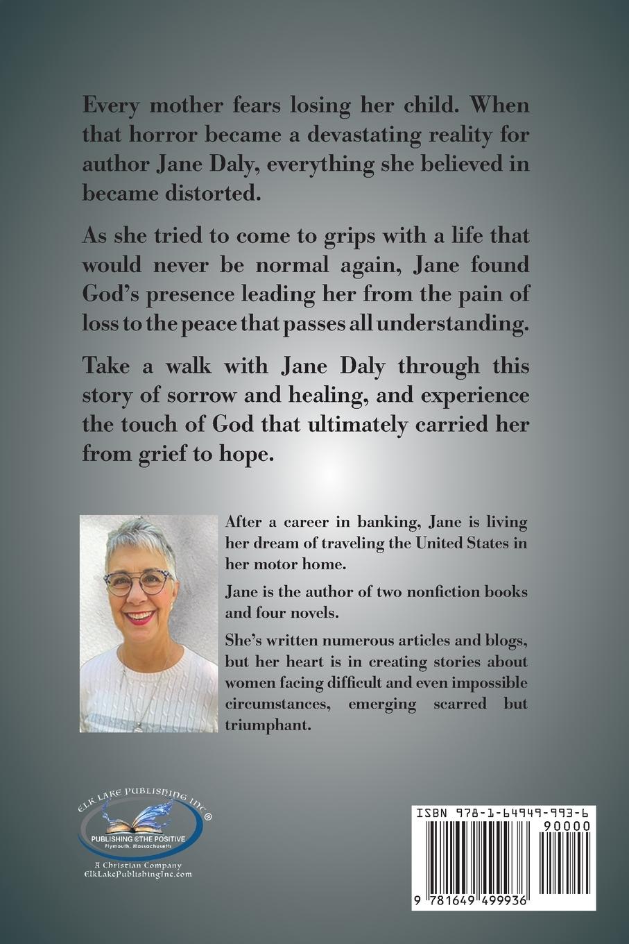 Rückseitencover Hole in My Family Portrait