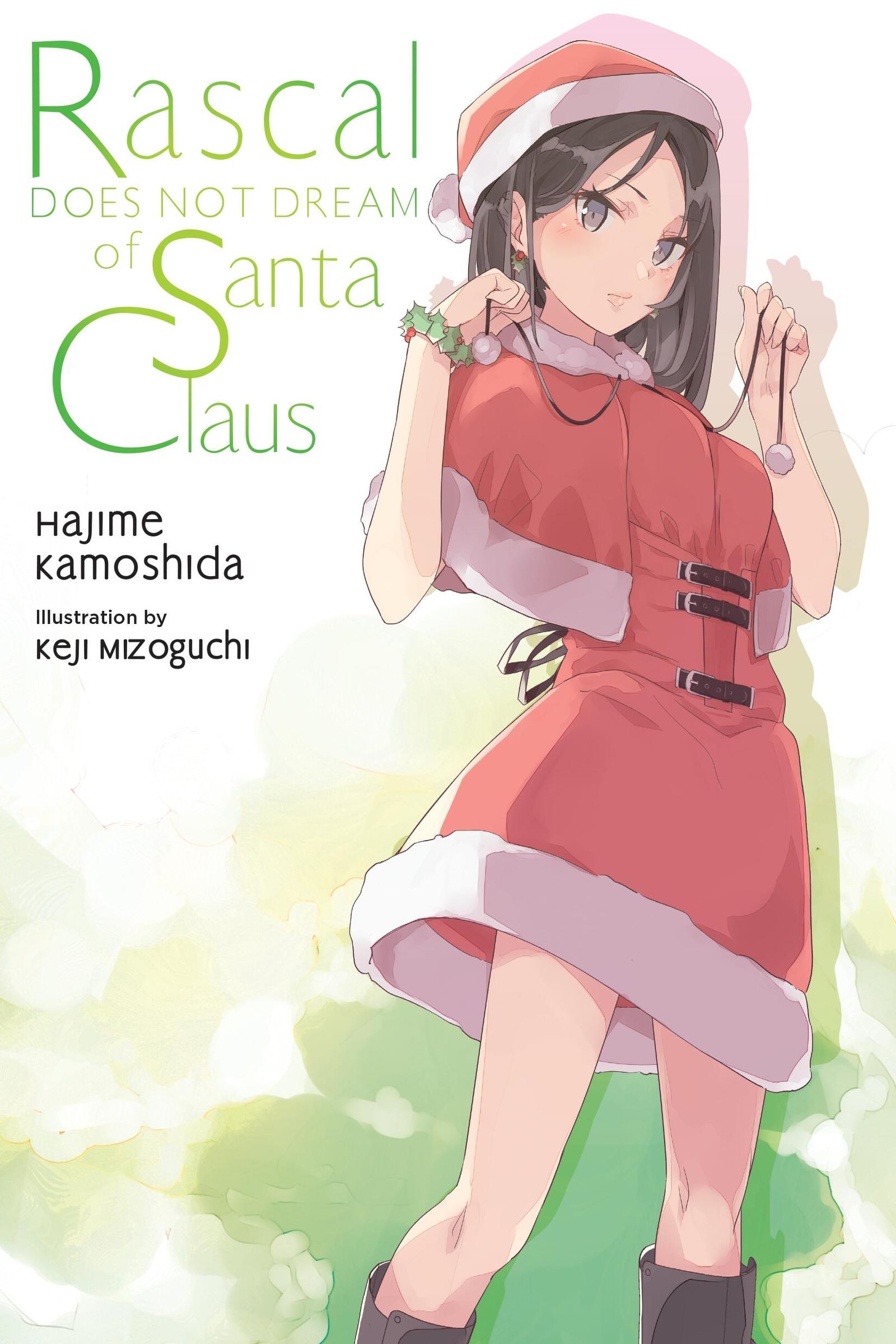Vorderes Coverbild Rascal Does Not Dream of Santa Claus (Light Novel)