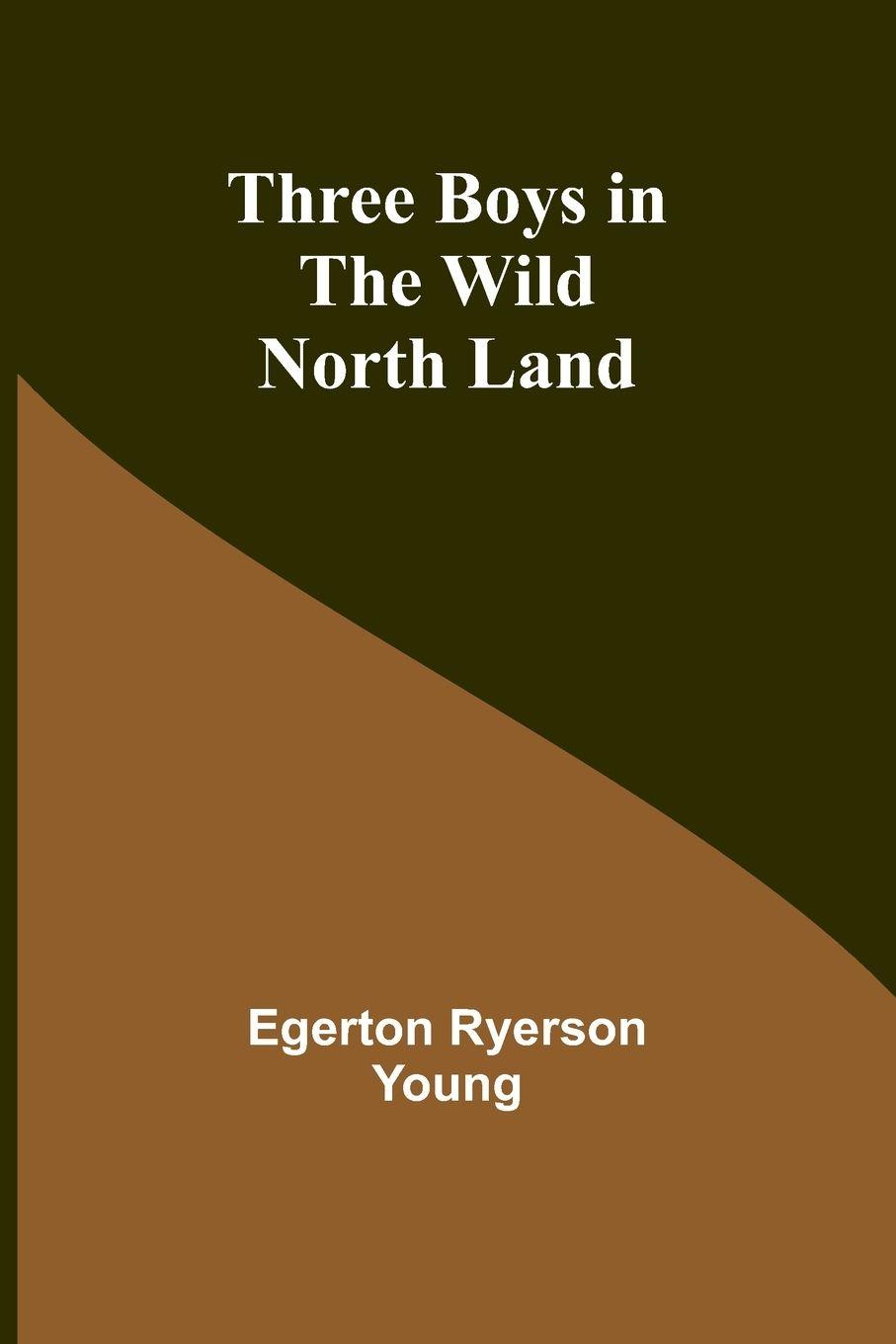 Vorderes Coverbild Three Boys in the Wild North Land