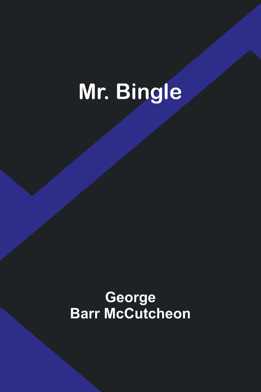 Vorderes Coverbild Mr. Bingle