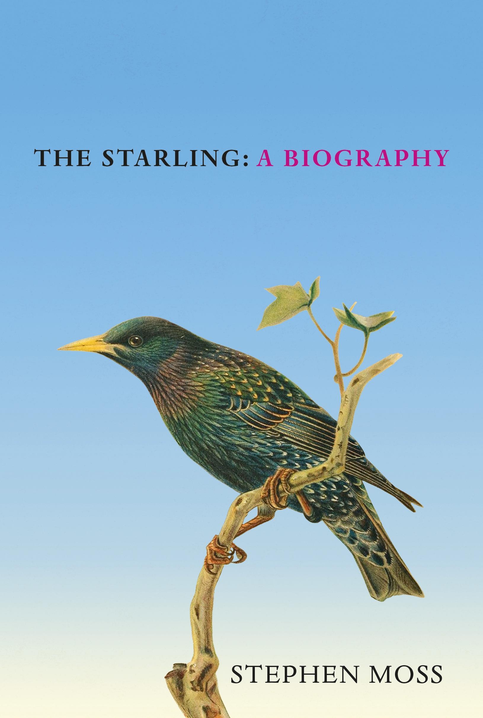 Vorderes Coverbild The Starling