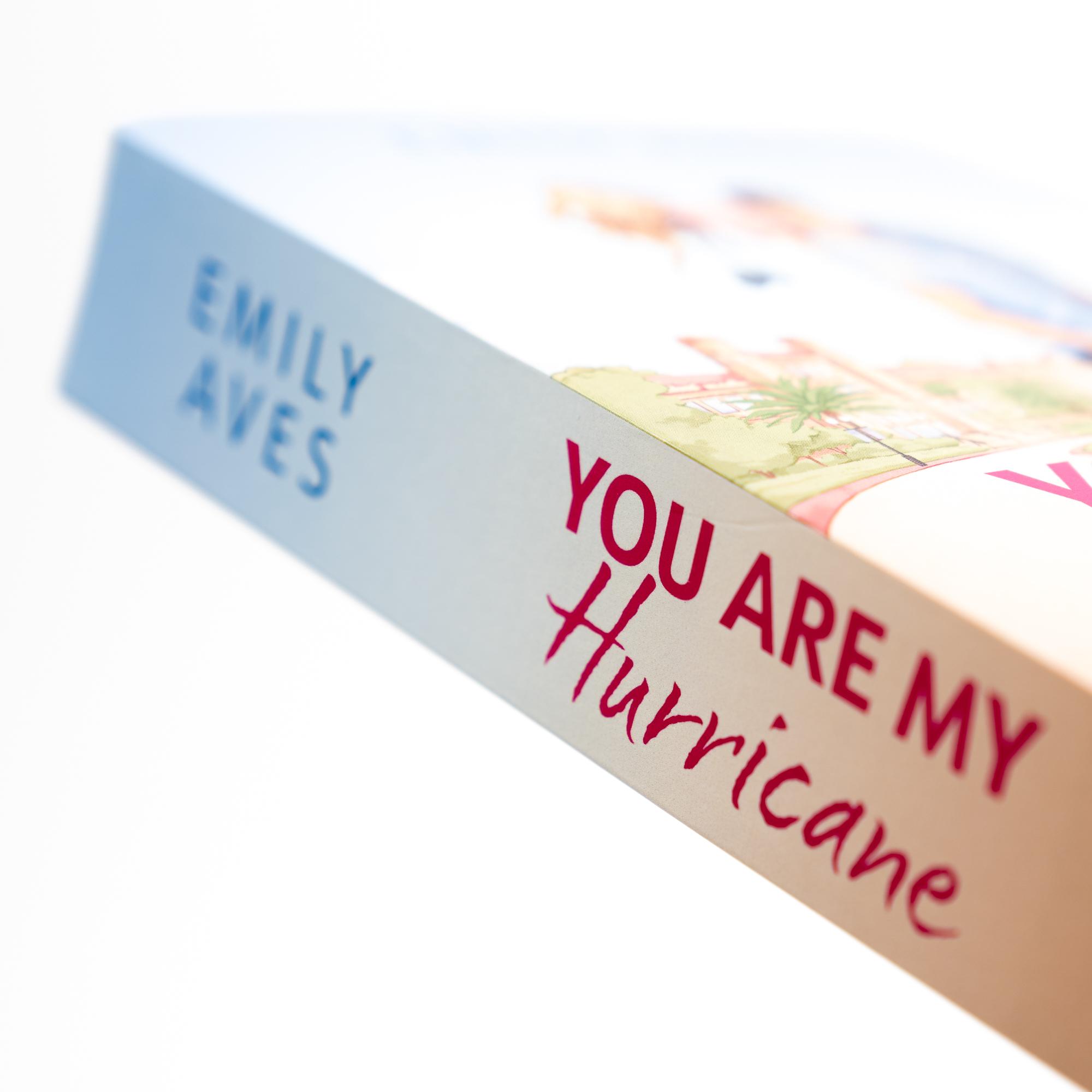 Beispielinhalt (Bild) You Are My Hurricane