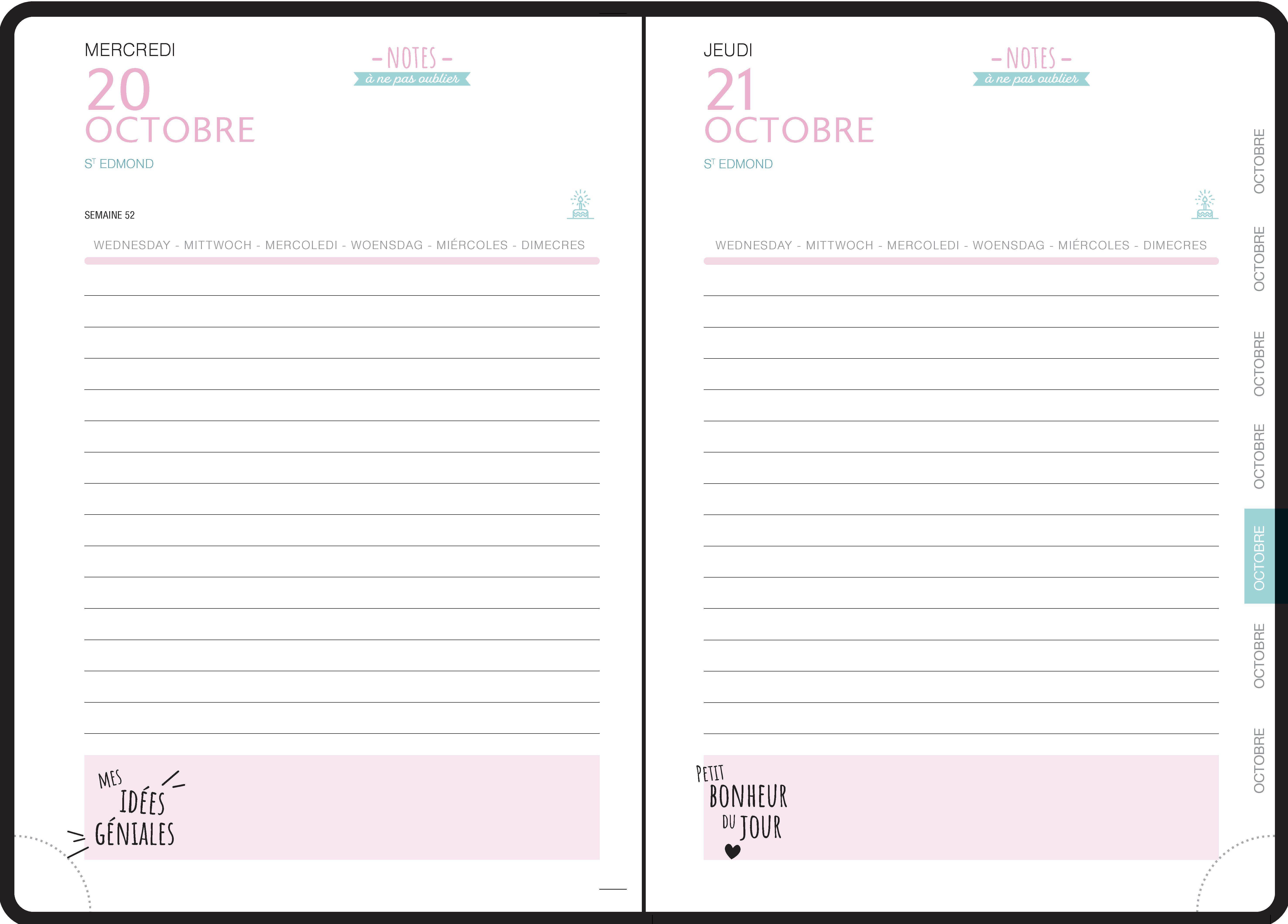 Beispielinhalt (Bild) Schülerkal. Forum Fell 2 sort 2024/2025