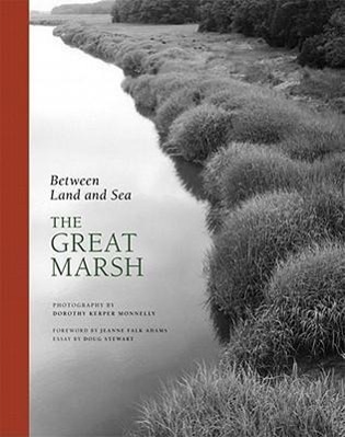 Vorderes Coverbild Between Land and Sea: The Great Marsh
