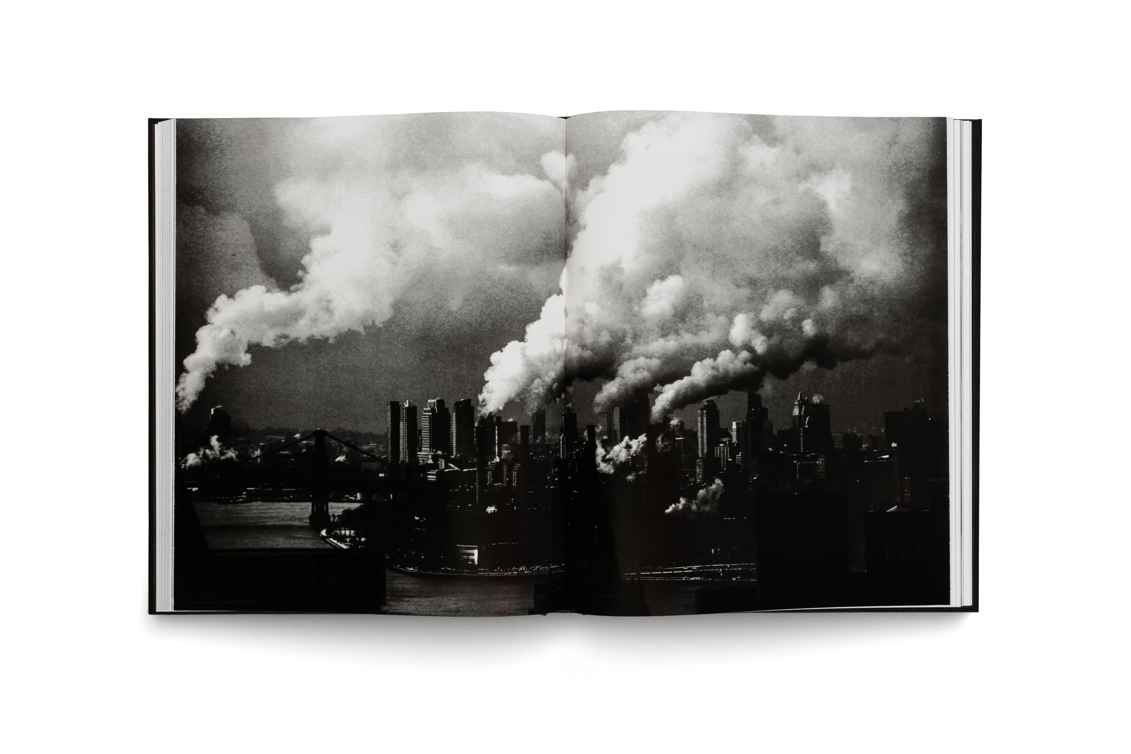 Beispielinhalt (Bild) Peter Arnell. City Visions: Urban Photography and Iconic New York Cityscapes from a Design Visionary