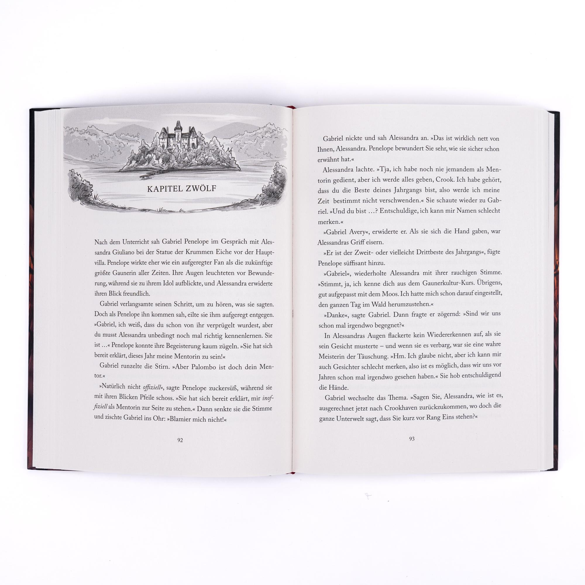 Beispielinhalt (Bild) Schule der Meisterdiebe 3: Die geheimnisvolle Insel