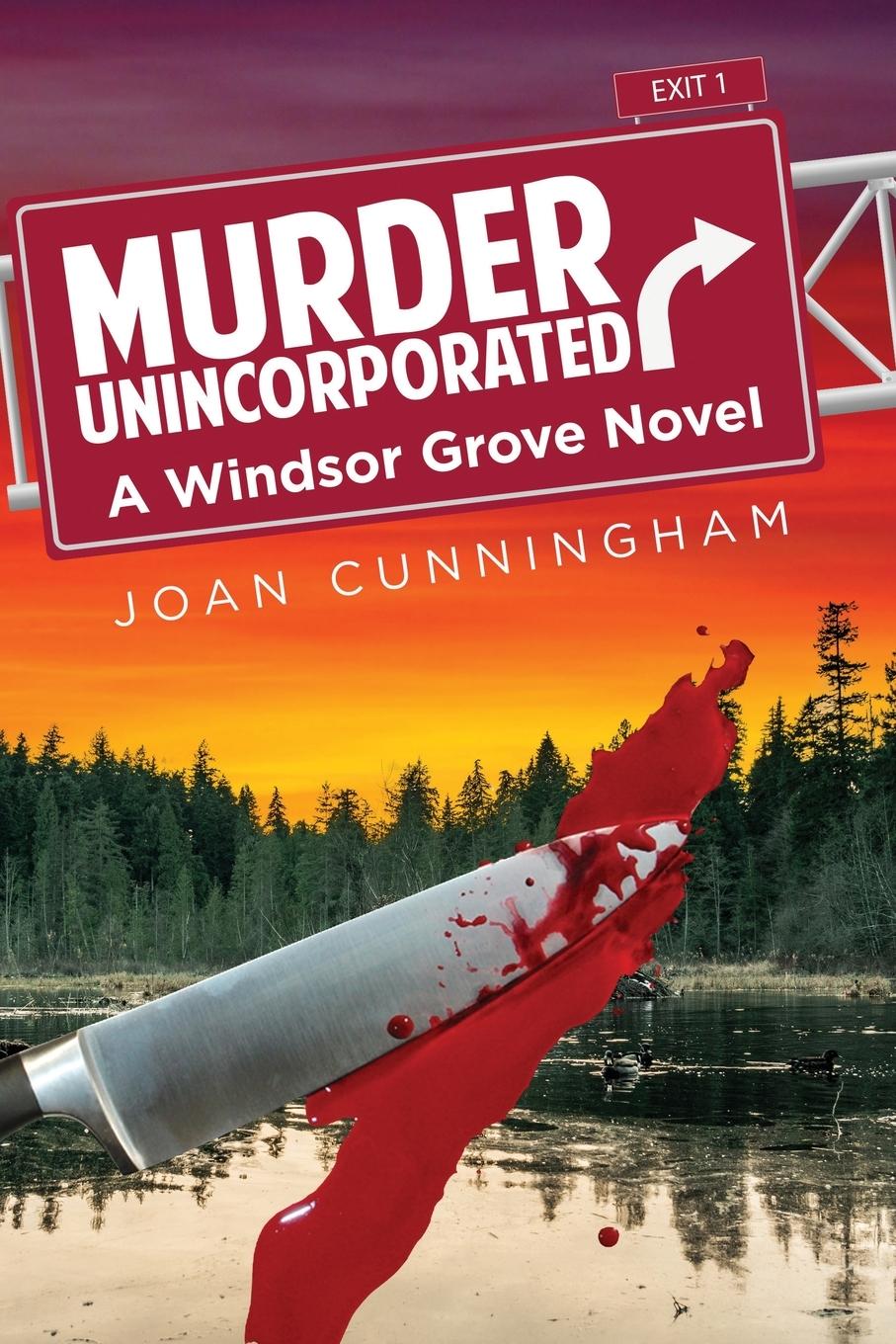 Vorderes Coverbild Murder Unincorporated