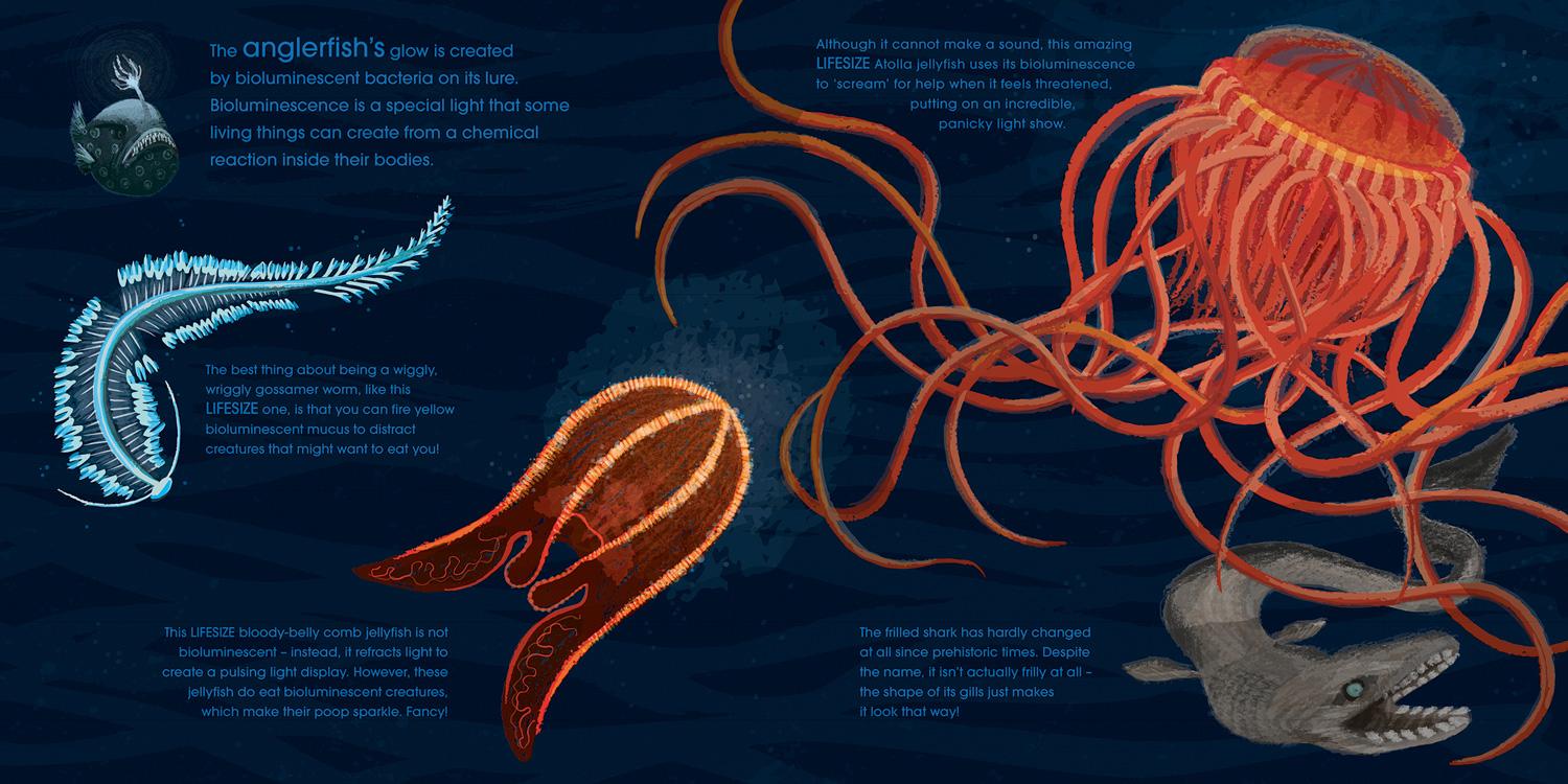 Beispielinhalt (Bild) Lifesize Ocean Animals