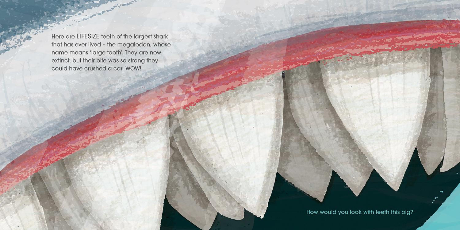 Beispielinhalt (Bild) Lifesize Ocean Animals