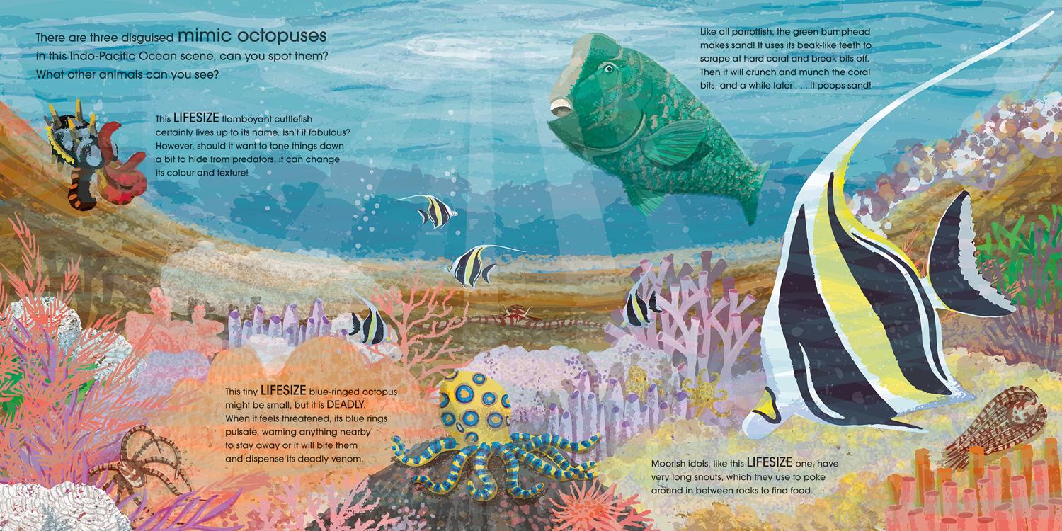Beispielinhalt (Bild) Lifesize Ocean Animals