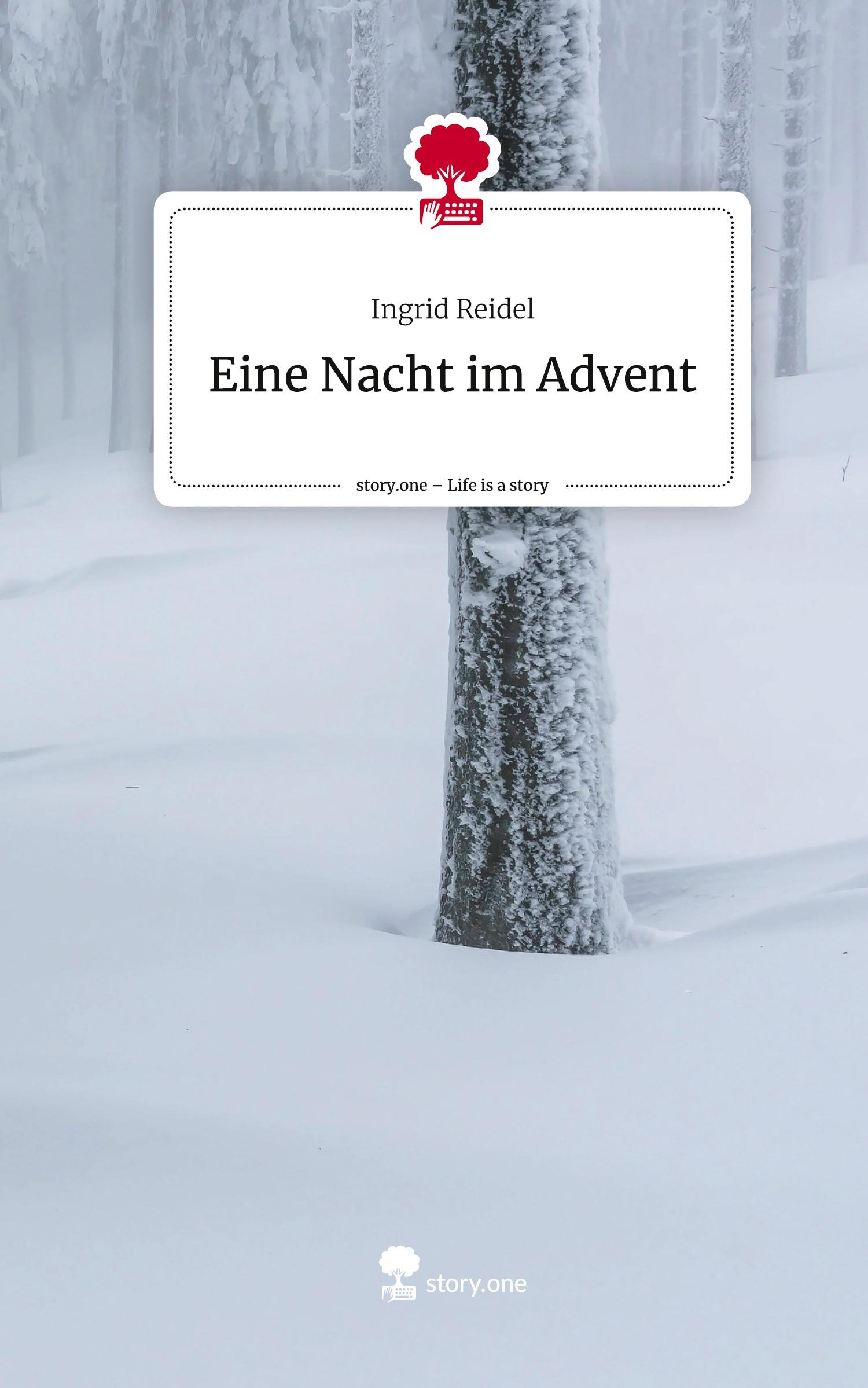 Vorderes Coverbild Eine Nacht im Advent. Life is a Story - story.one