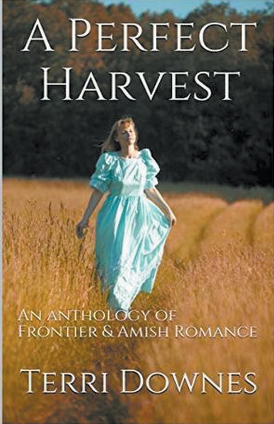Vorderes Coverbild A Perfect Harvest