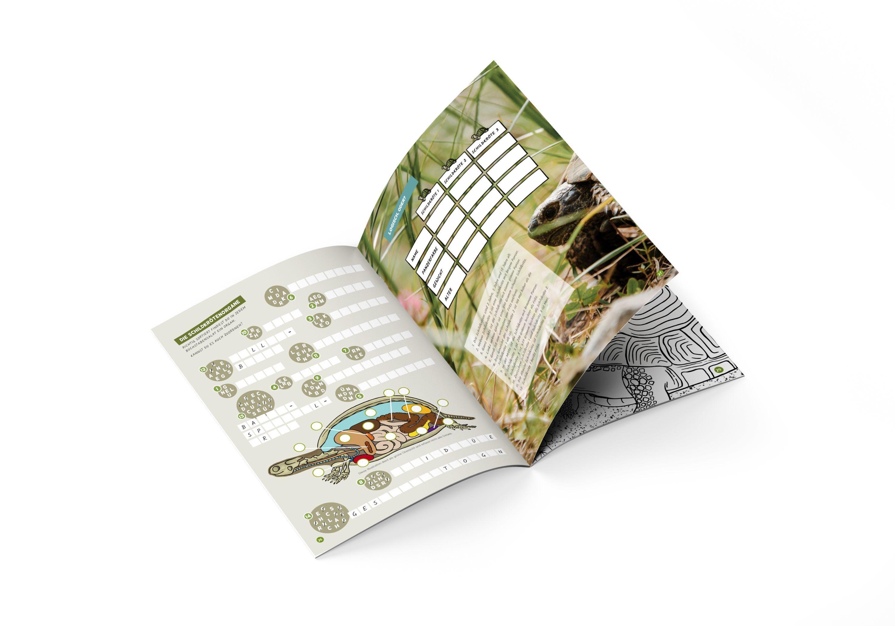 Beispielinhalt (Bild) Faszination Schildkröte - das besondere Rätsel-, Mal- und Wissensbuch