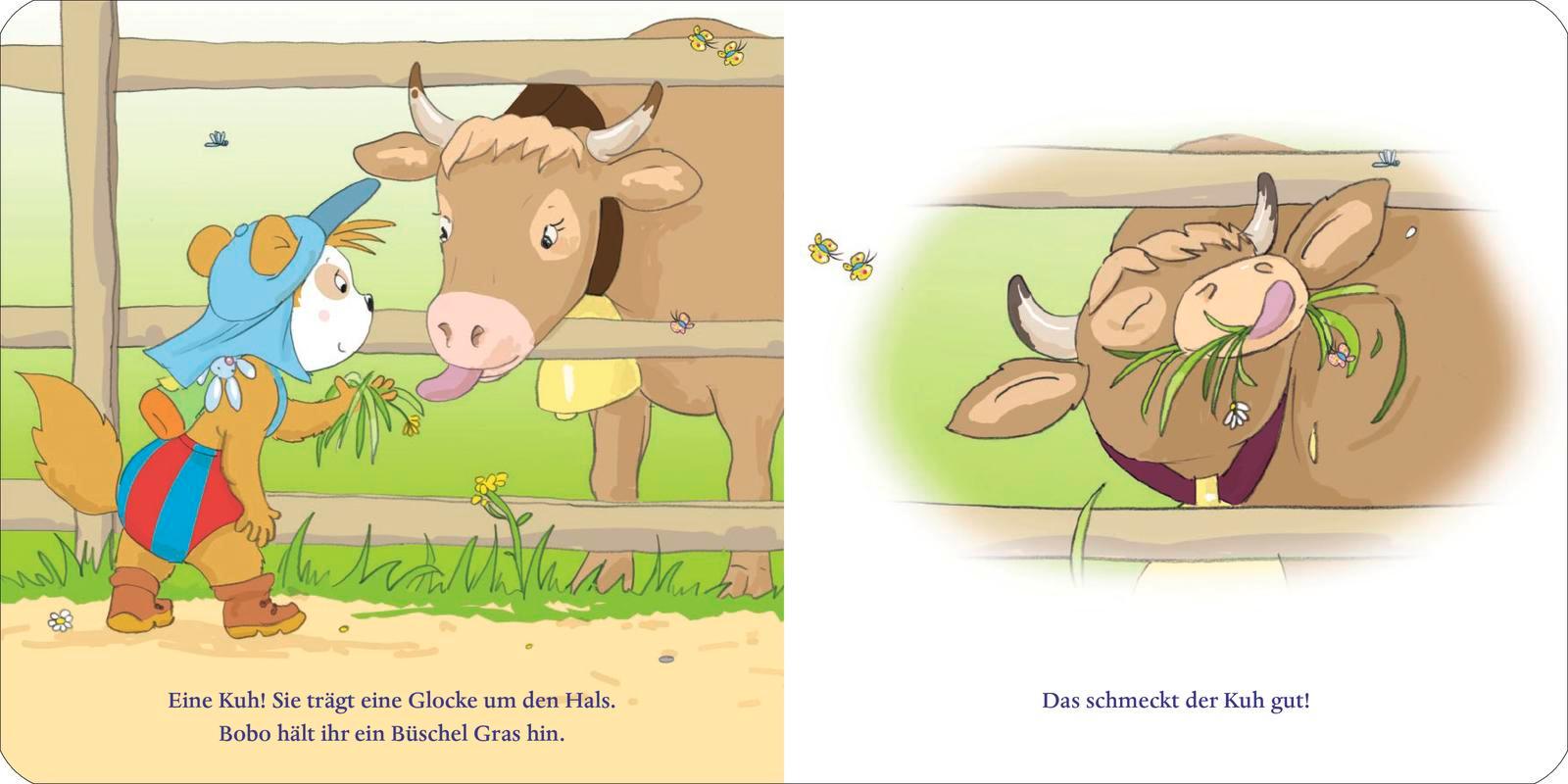 Beispielinhalt (Bild) Bobo in den Bergen