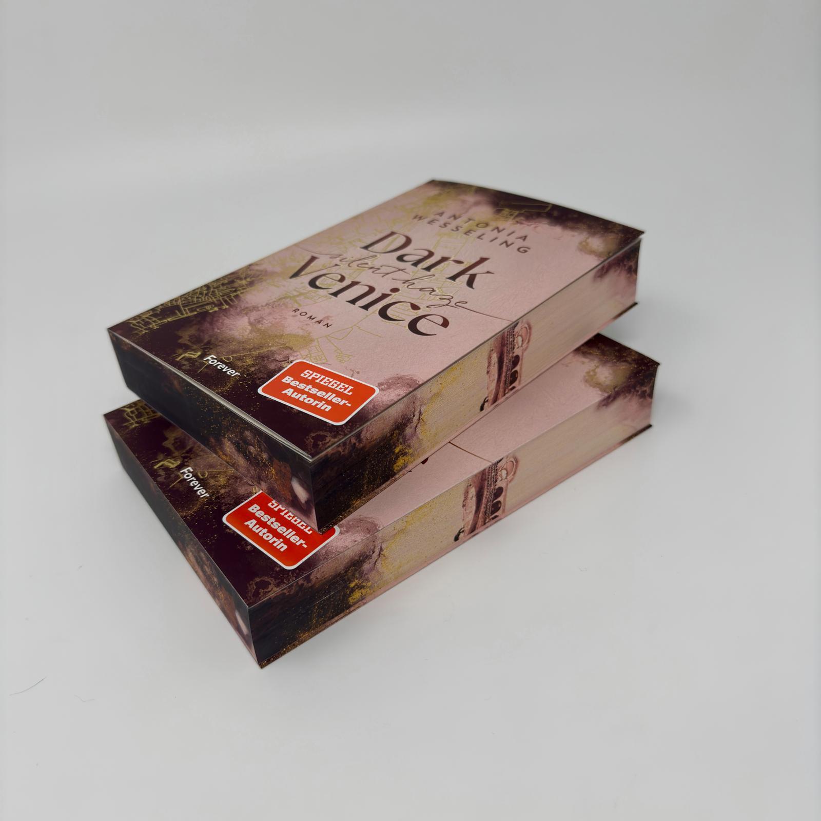 Beispielinhalt (Bild) Dark Venice. Silent Haze