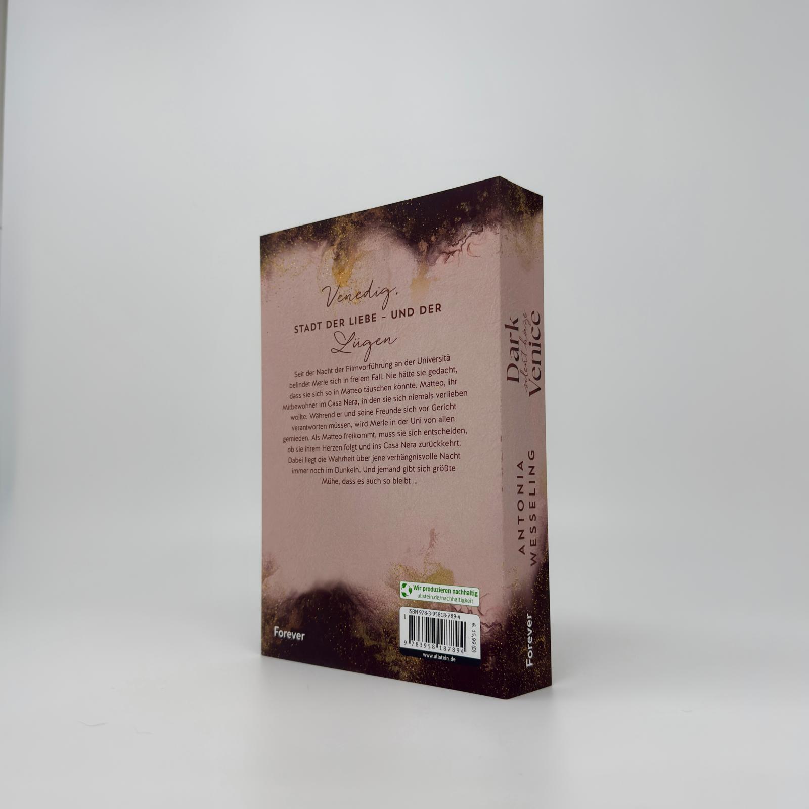 Beispielinhalt (Bild) Dark Venice. Silent Haze