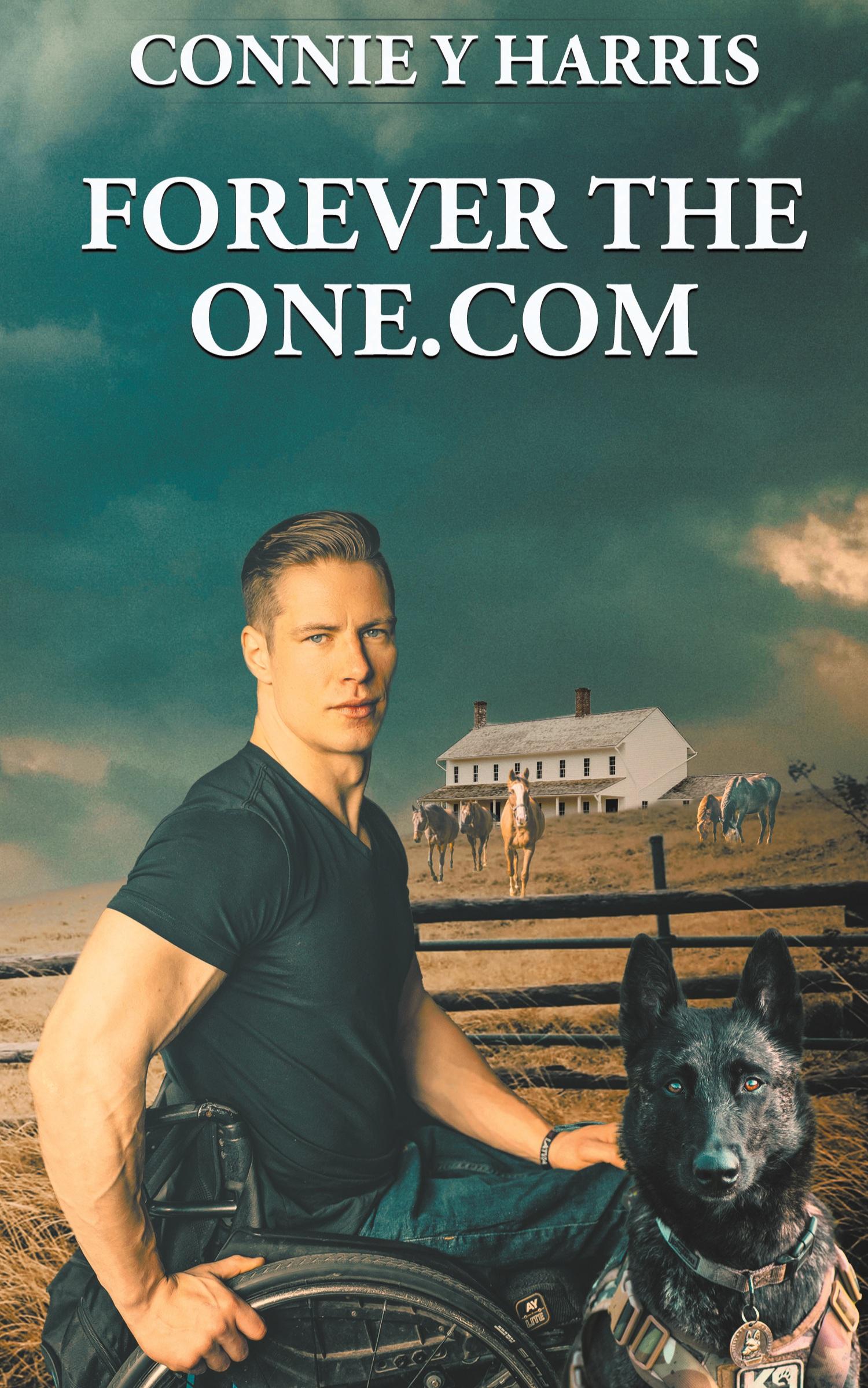 Vorderes Coverbild Forever the One.com