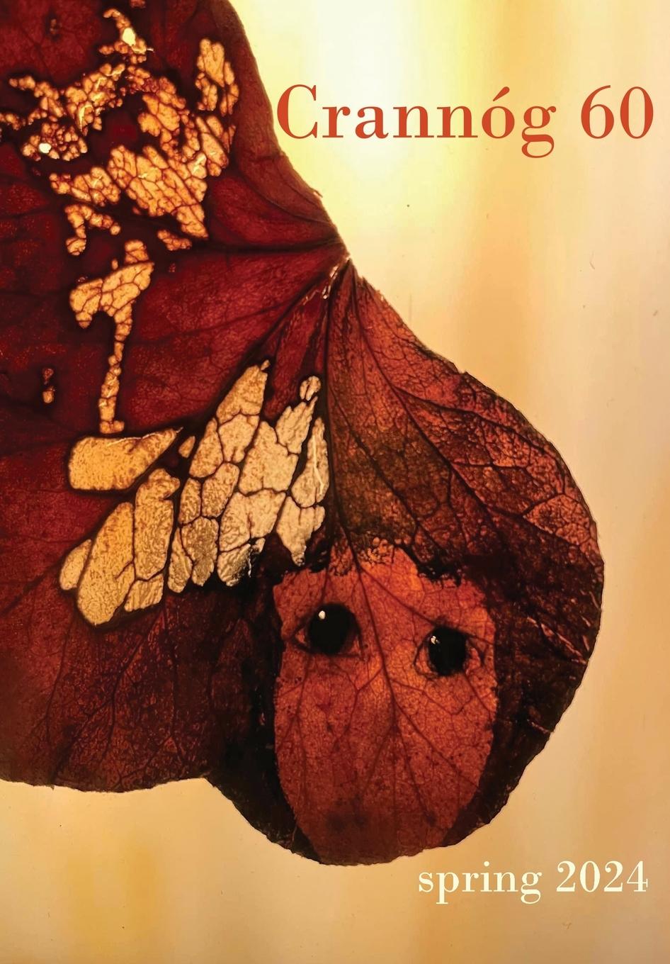 Vorderes Coverbild Crannóg 60
