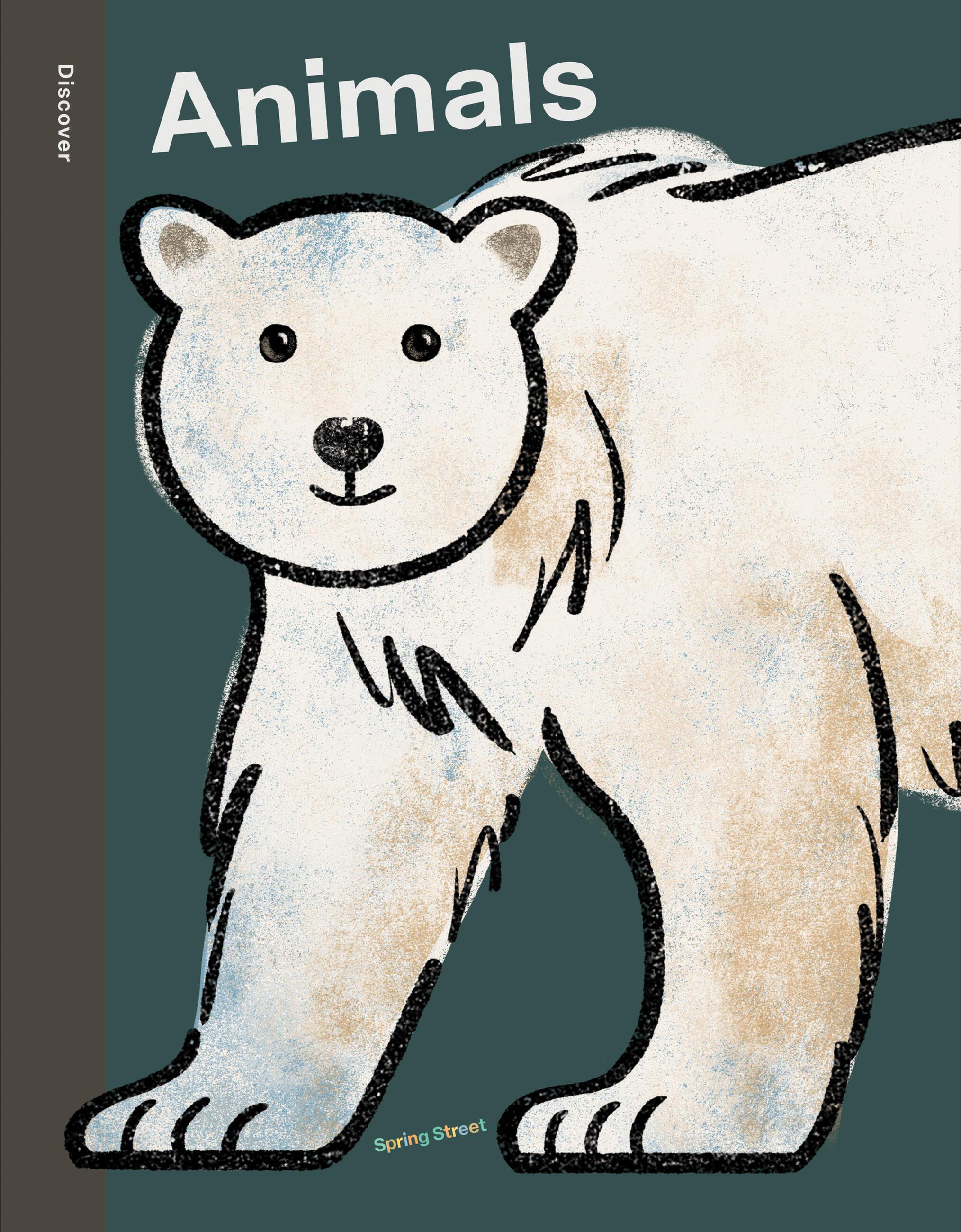 Vorderes Coverbild Spring Street Discover: Animals
