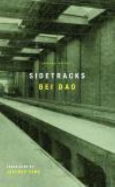 Vorderes Coverbild Sidetracks