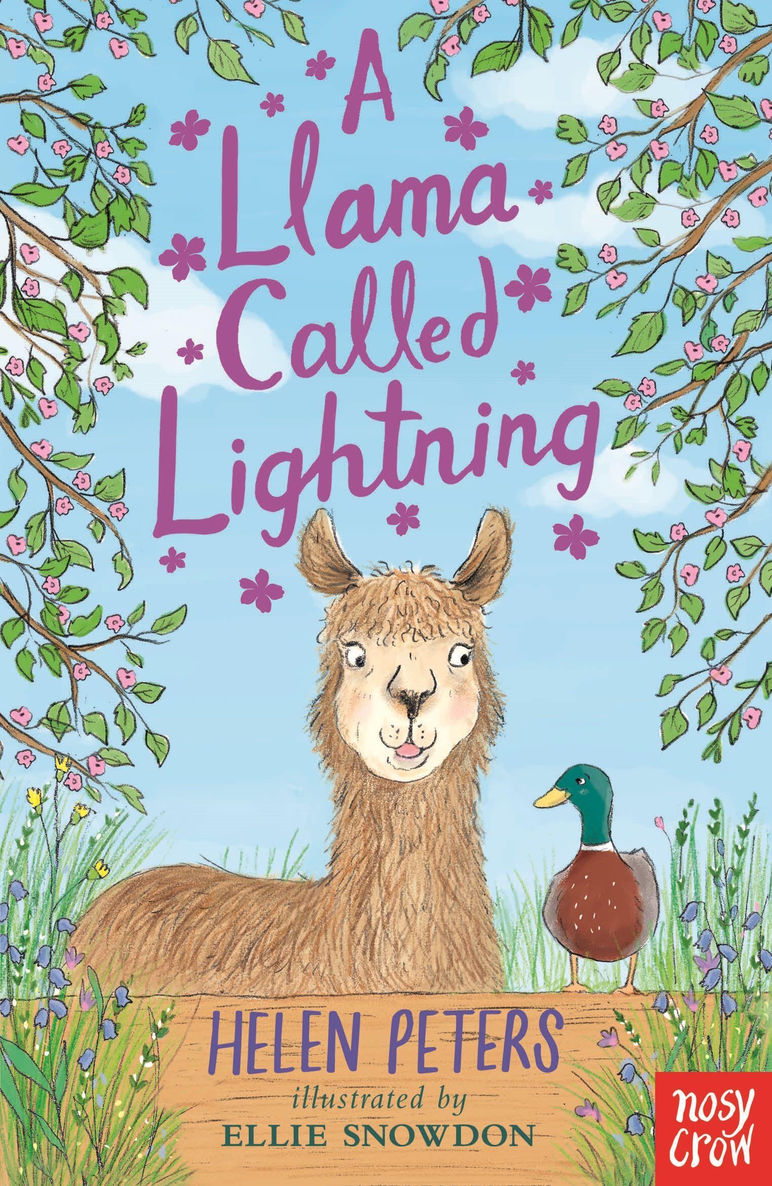 Vorderes Coverbild A Llama Called Lightning