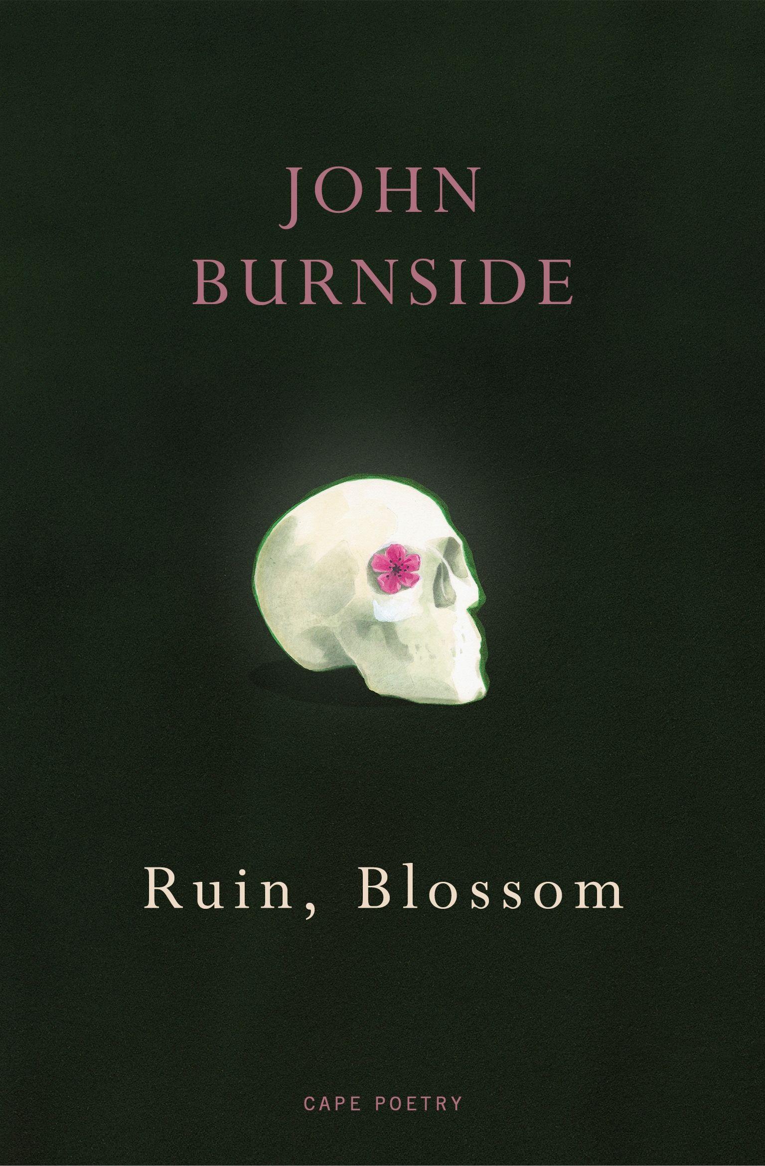 Vorderes Coverbild Ruin, Blossom