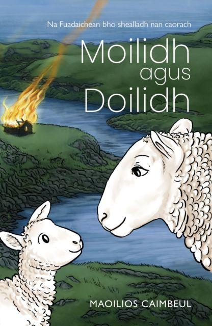 Vorderes Coverbild Moilidh agus Doilidh