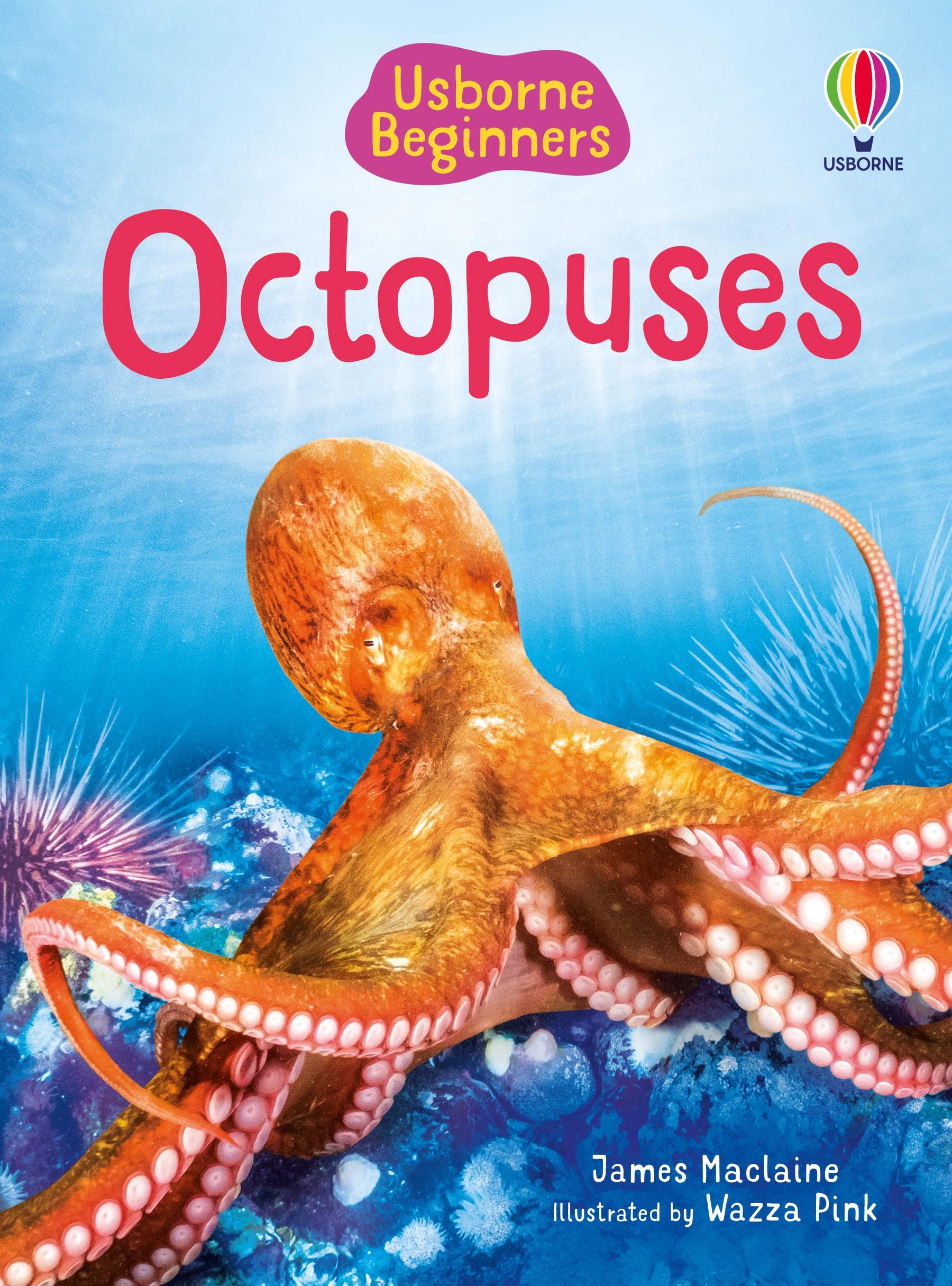 Vorderes Coverbild Beginners Octopuses