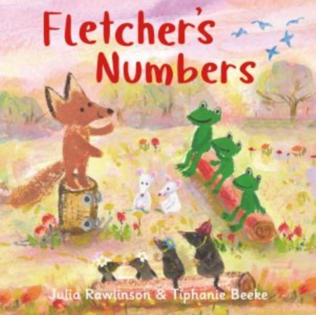 Vorderes Coverbild Fletcher's Numbers